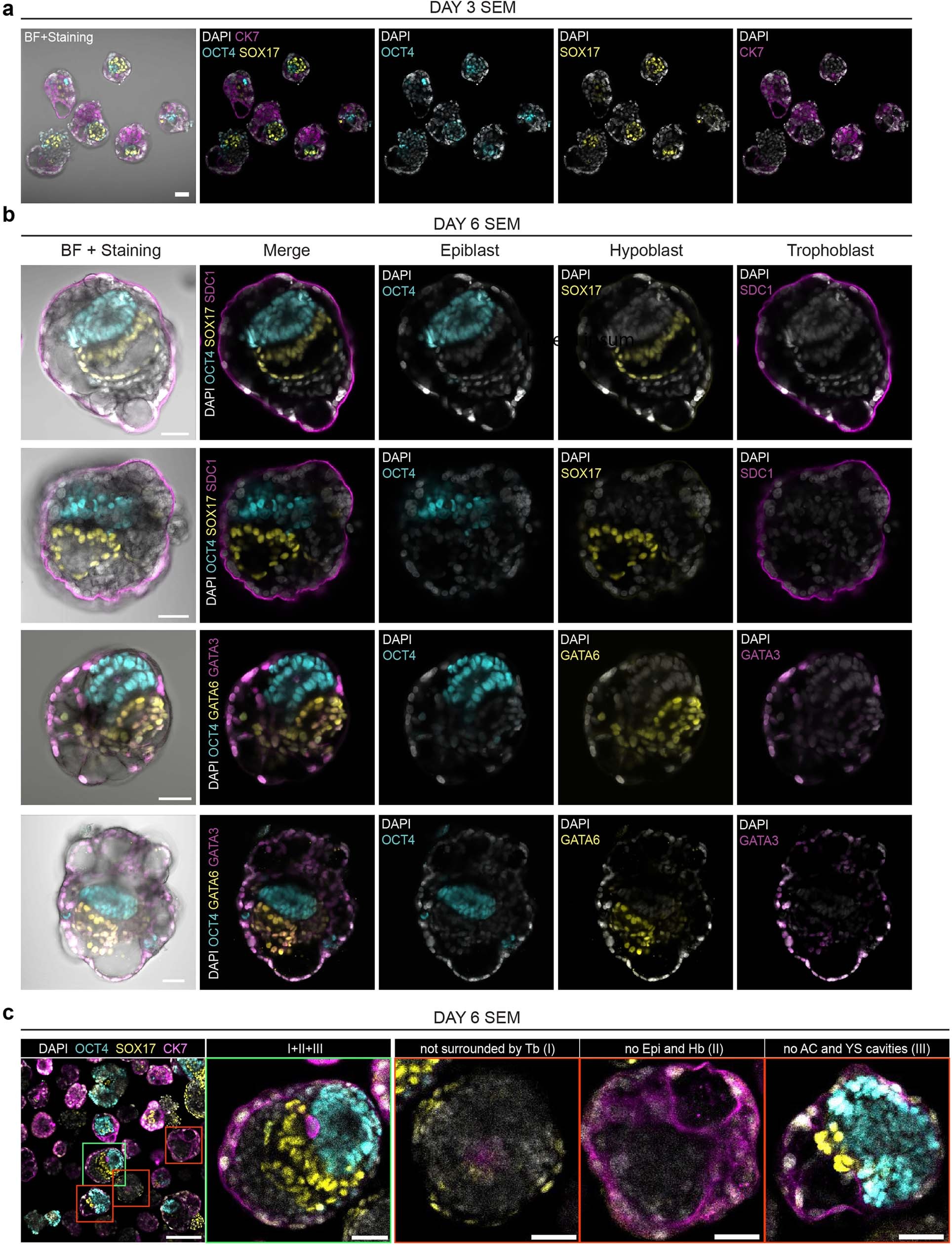Extended Data Fig. 6