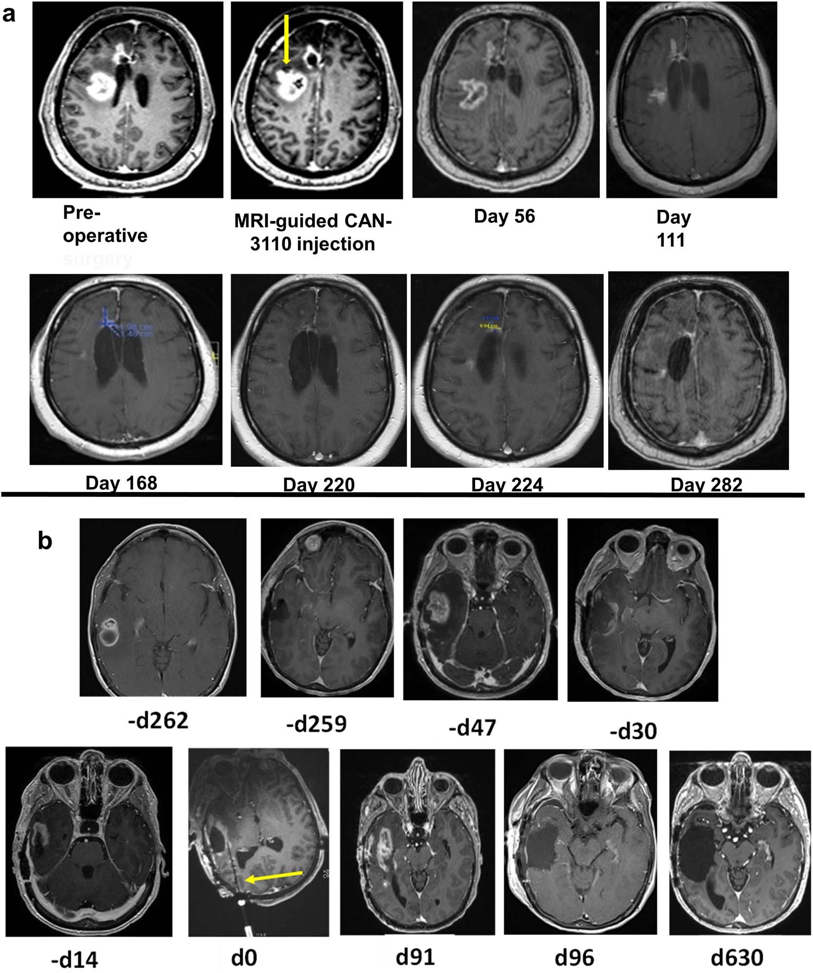Extended Data Fig. 4