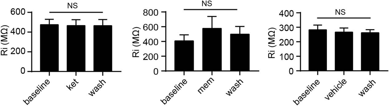 Extended Data Fig. 5: Input resistance of recorded neurons.