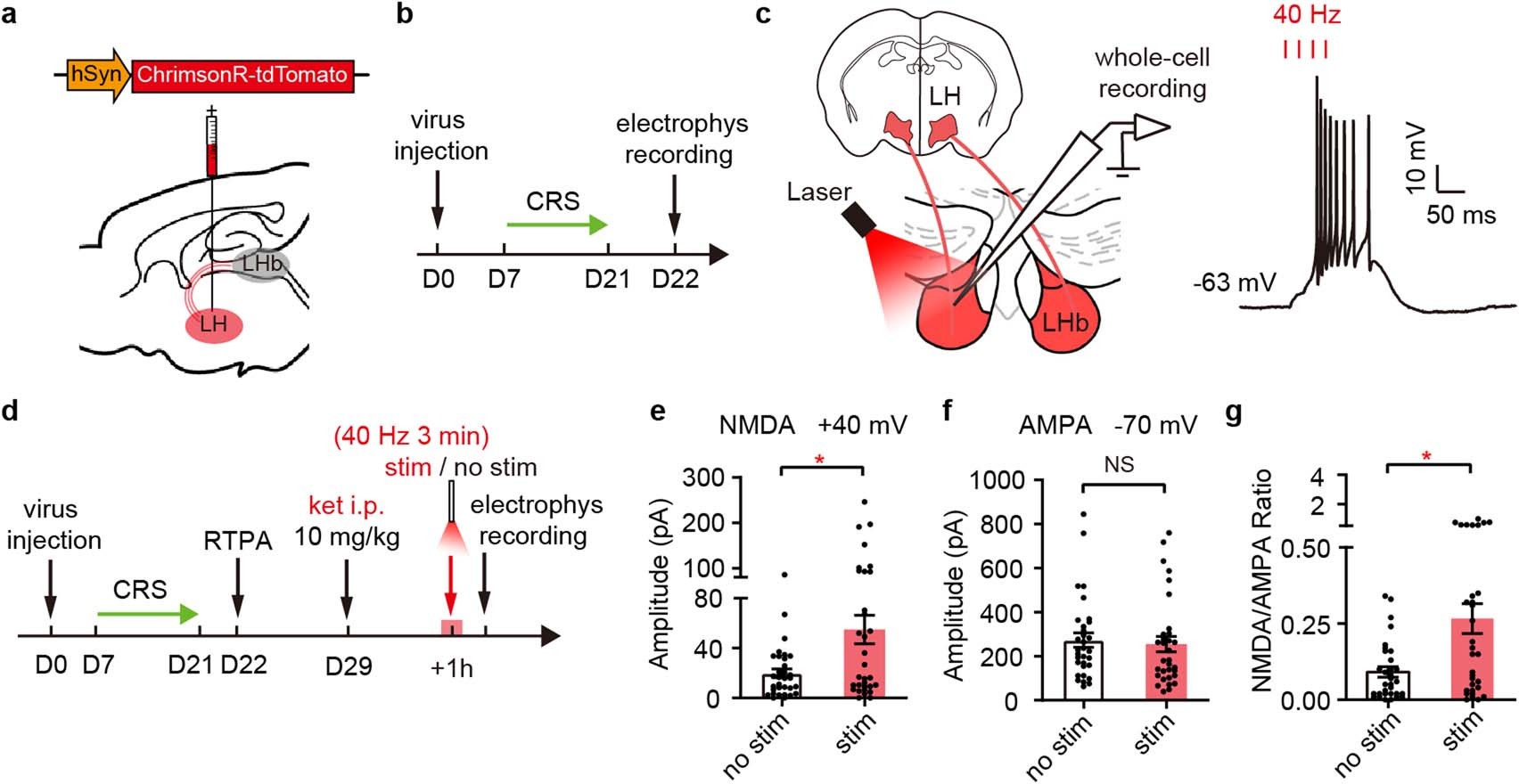 Extended Data Fig. 9: 40 Hz LH-LHb stimulation induces LHb burst firing and kicks off trapped ketamine in vivo.