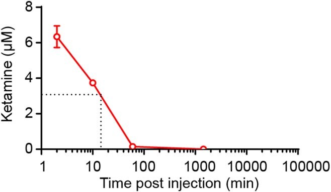 Extended Data Fig. 10: Brain concentration of ketamine after a single i.p. injection of 5 mg kg−1 ketamine in CRS mice, as measured by LC-MS/MS.