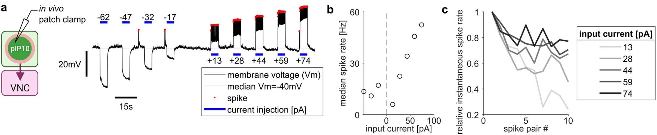 Extended Data Fig. 8