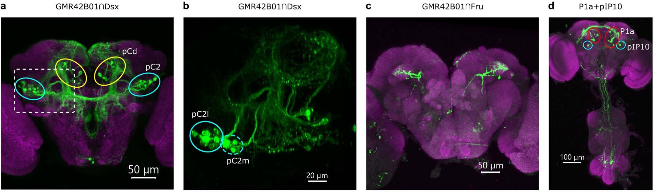 Extended Data Fig. 4