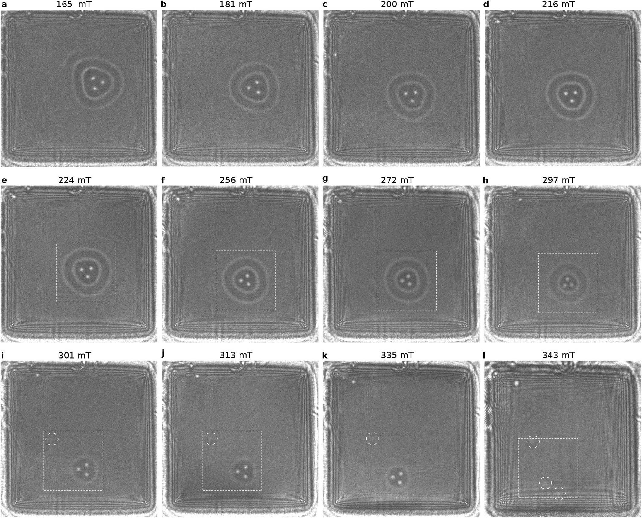 Extended Data Fig. 1