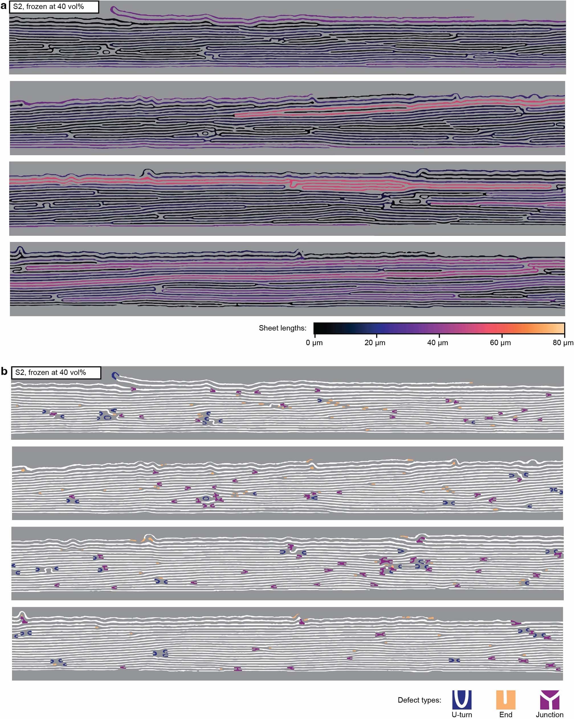 Extended Data Fig. 7: Images and data for defect density and sheet-length analyses.