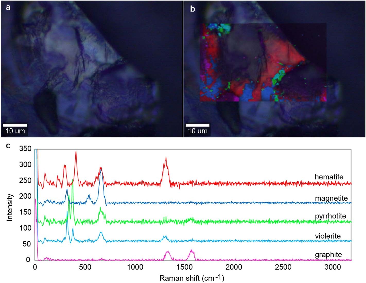 Extended Data Fig. 5: Raman images and spectra of J1 sulfide inclusion.