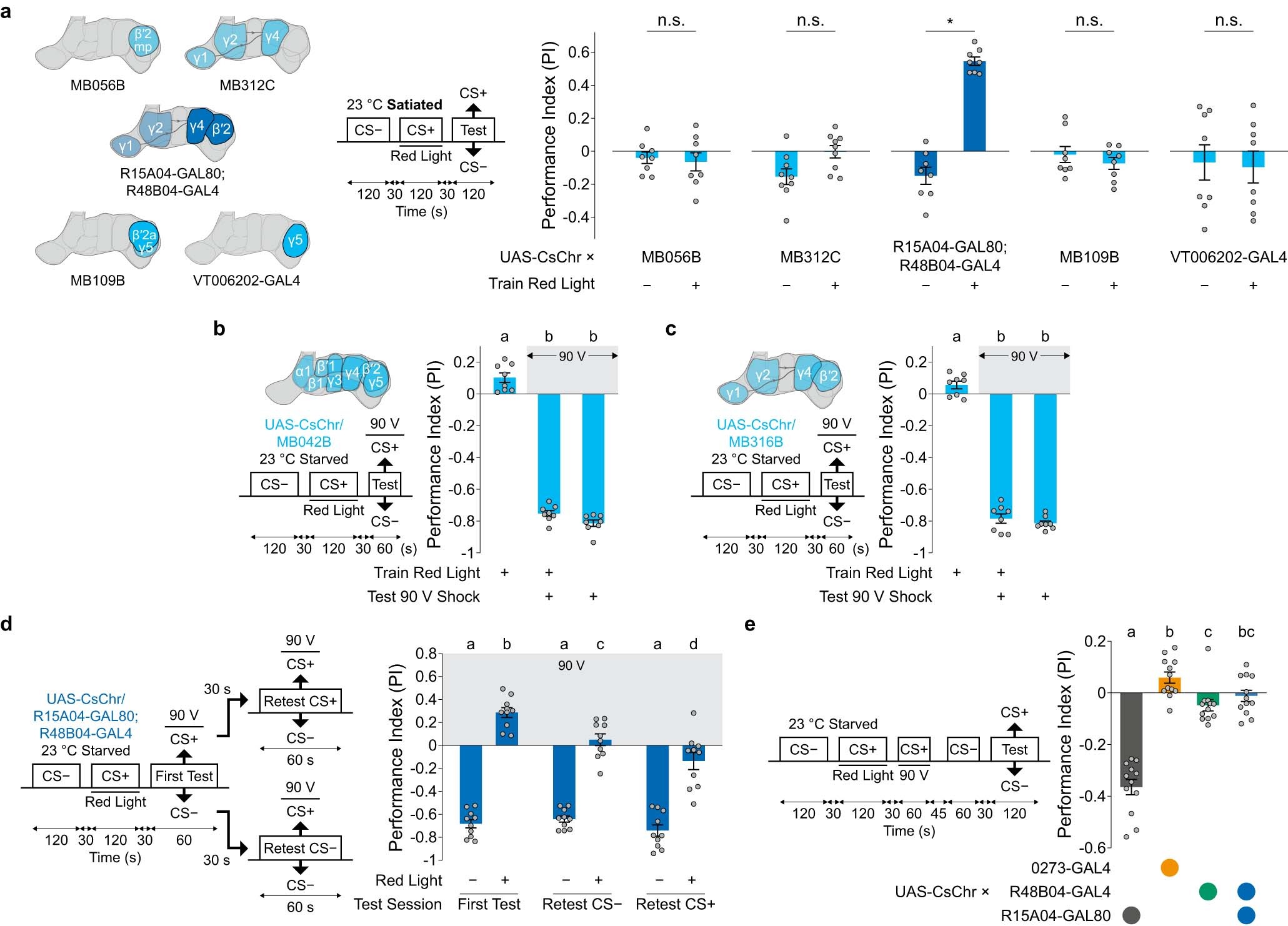 Extended Data Fig. 4: Flies trained with coactivation of sufficient β′2 and γ4 DANs seek reward even after experiencing the CS+ odour with shock.