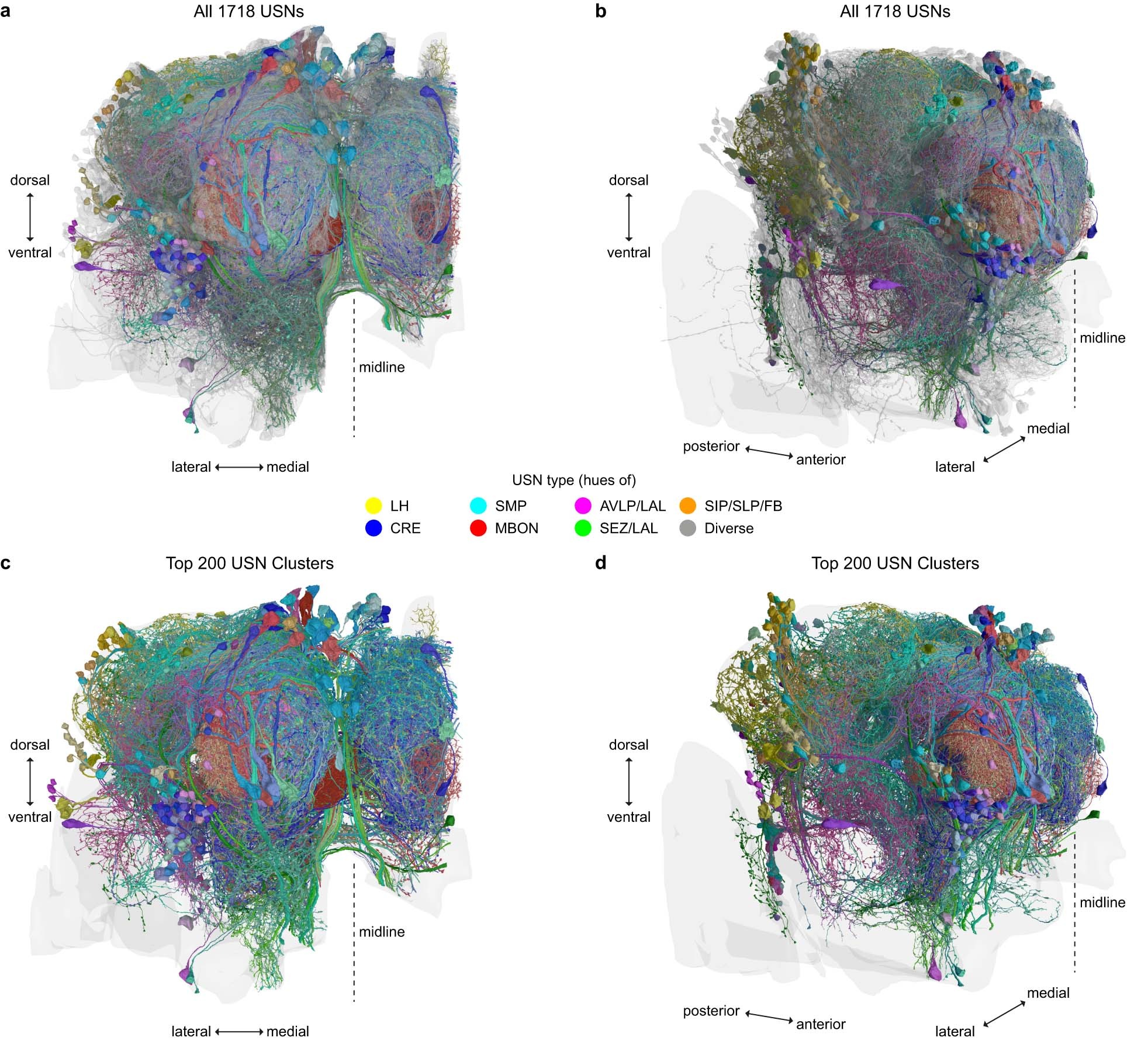 Extended Data Fig. 7: Inputs to β′2 and γ4 DANs represent a wide variety of information from across the brain.