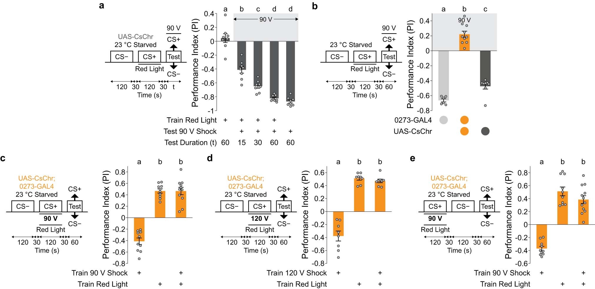 Extended Data Fig. 1: 0273 neurons drive reward seeking despite shock during training or testing.