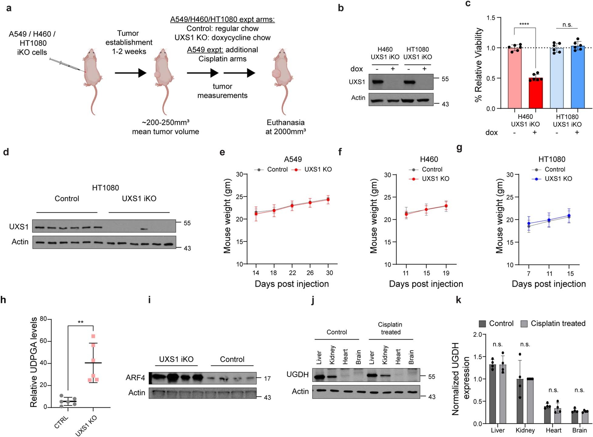 Extended Data Fig. 8: Additional in-vivo data.