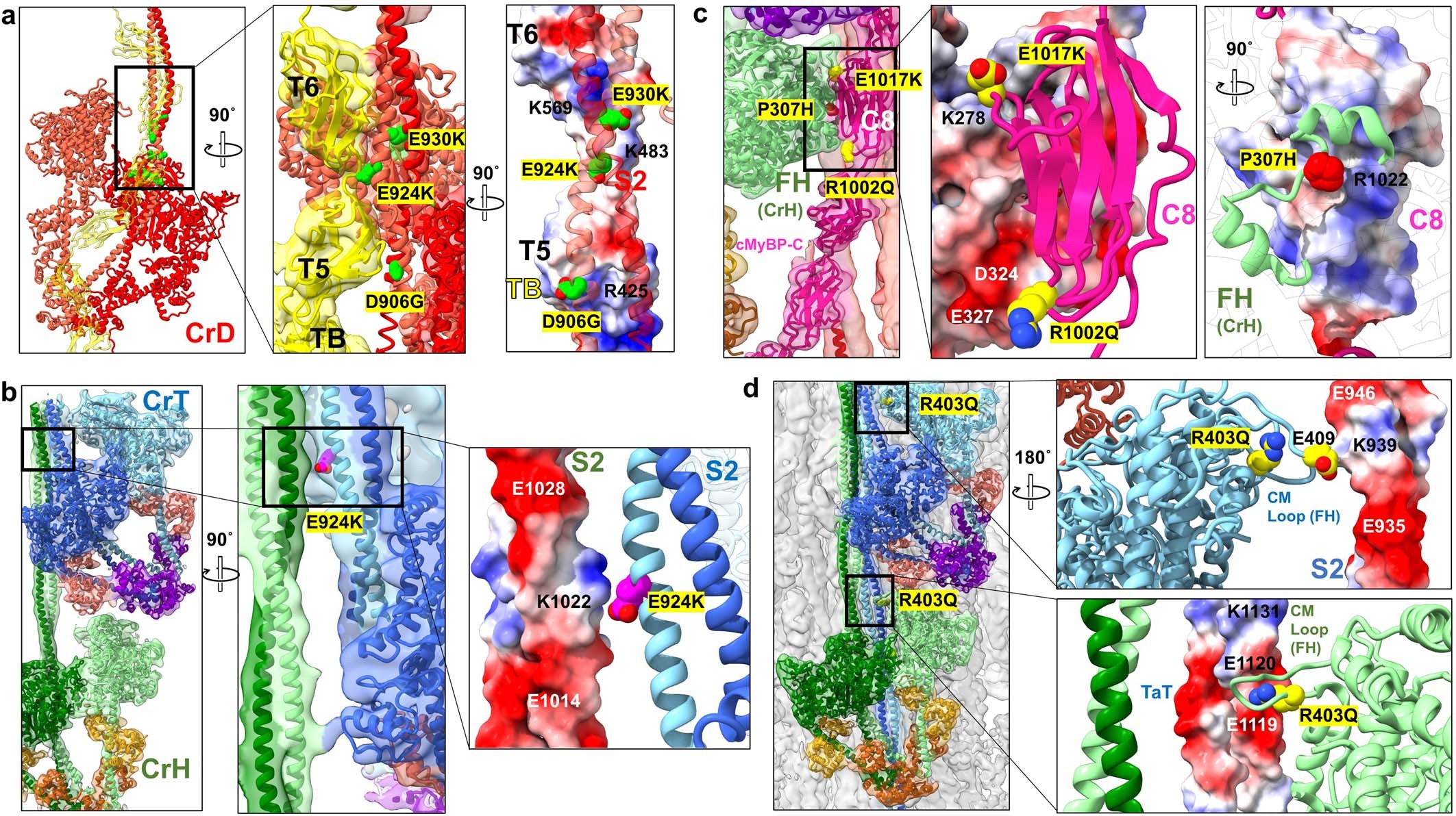 Extended Data Fig. 9