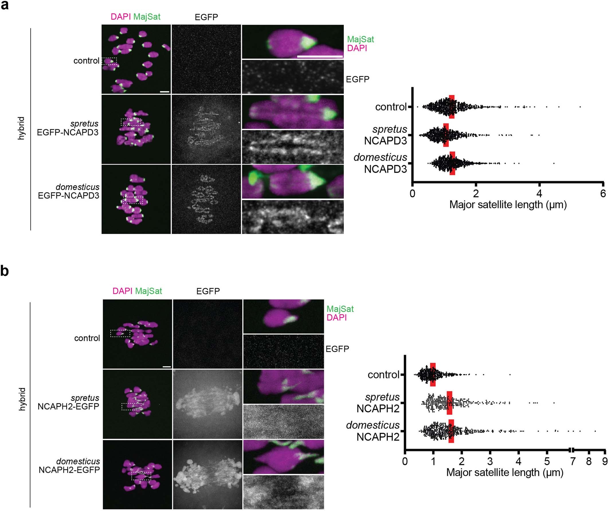 Extended Data Fig. 4