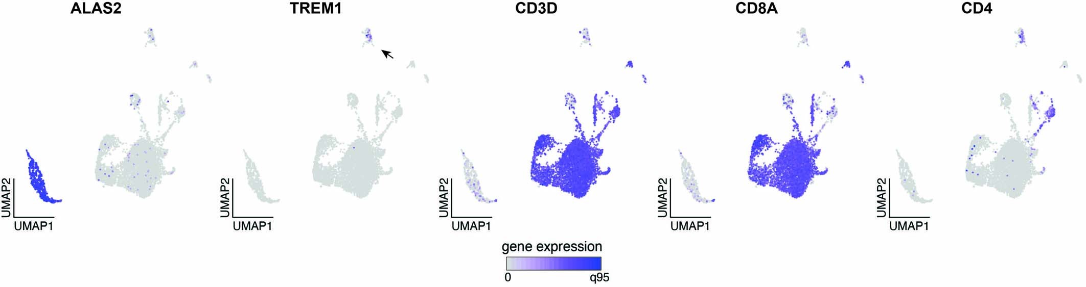 Extended Data Fig. 9: Gene expression annotation for the Day 19 PBMC allogeneic CD7 dataset.