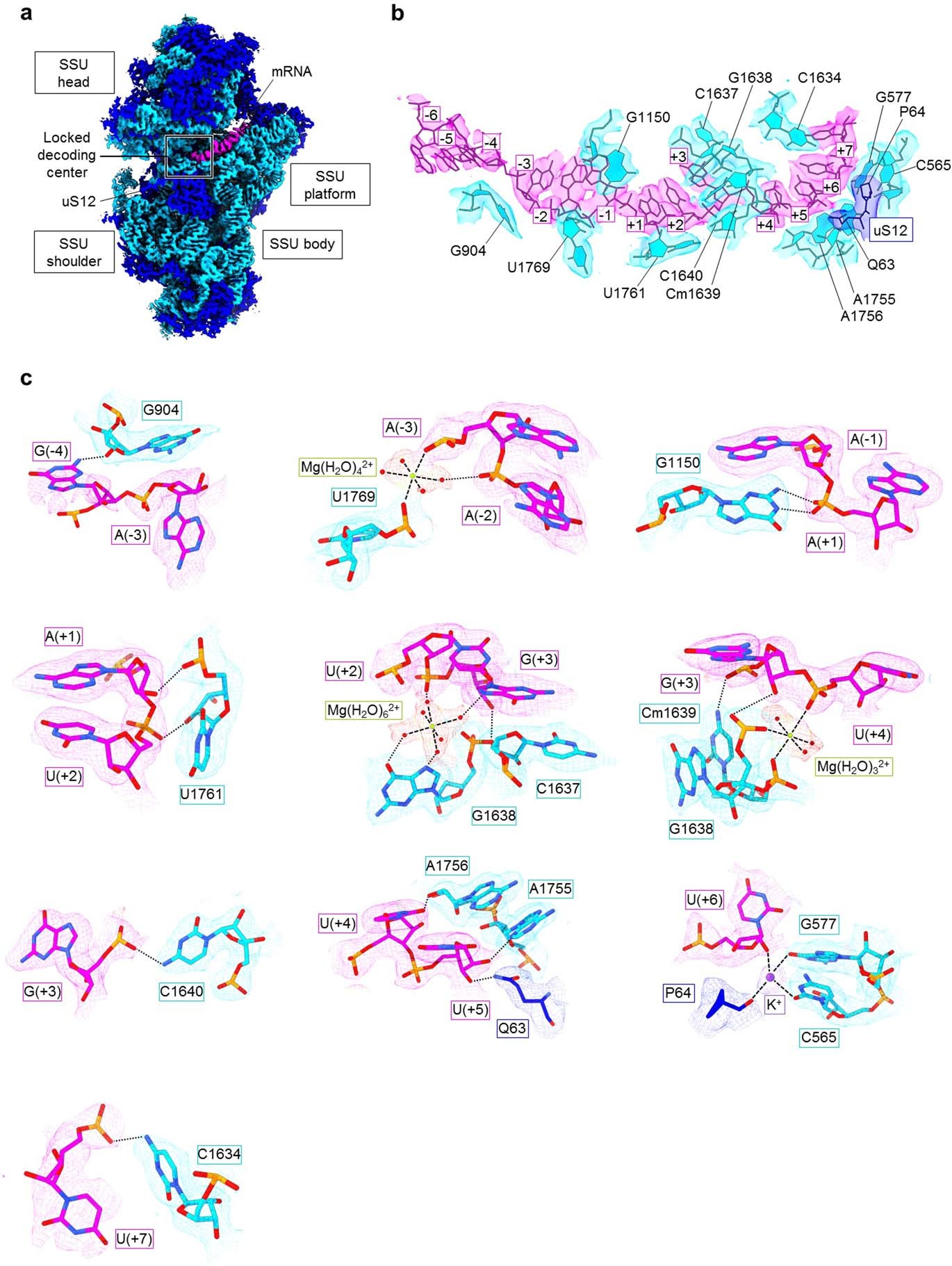 Extended Data Fig. 6