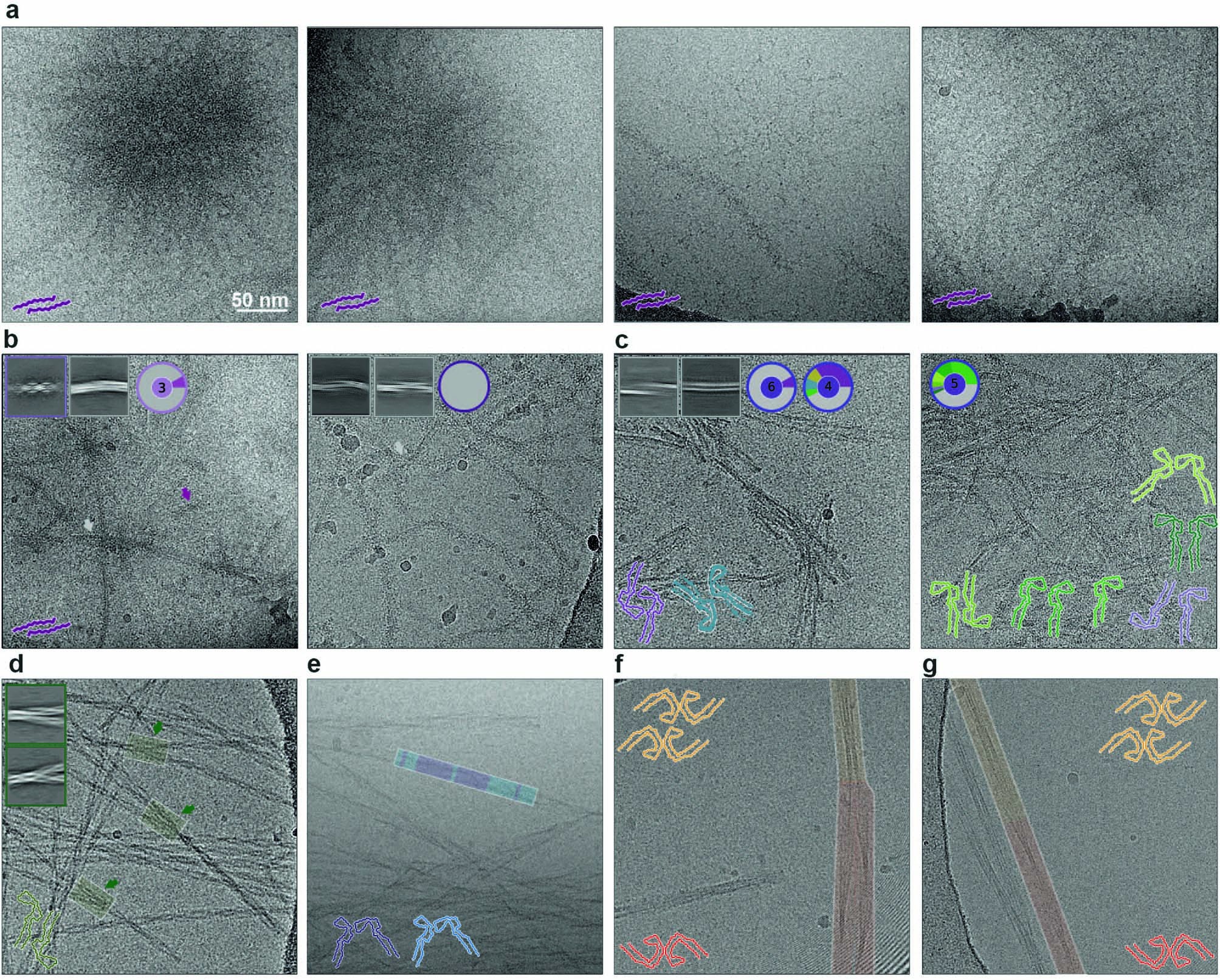 Extended Data Fig. 3