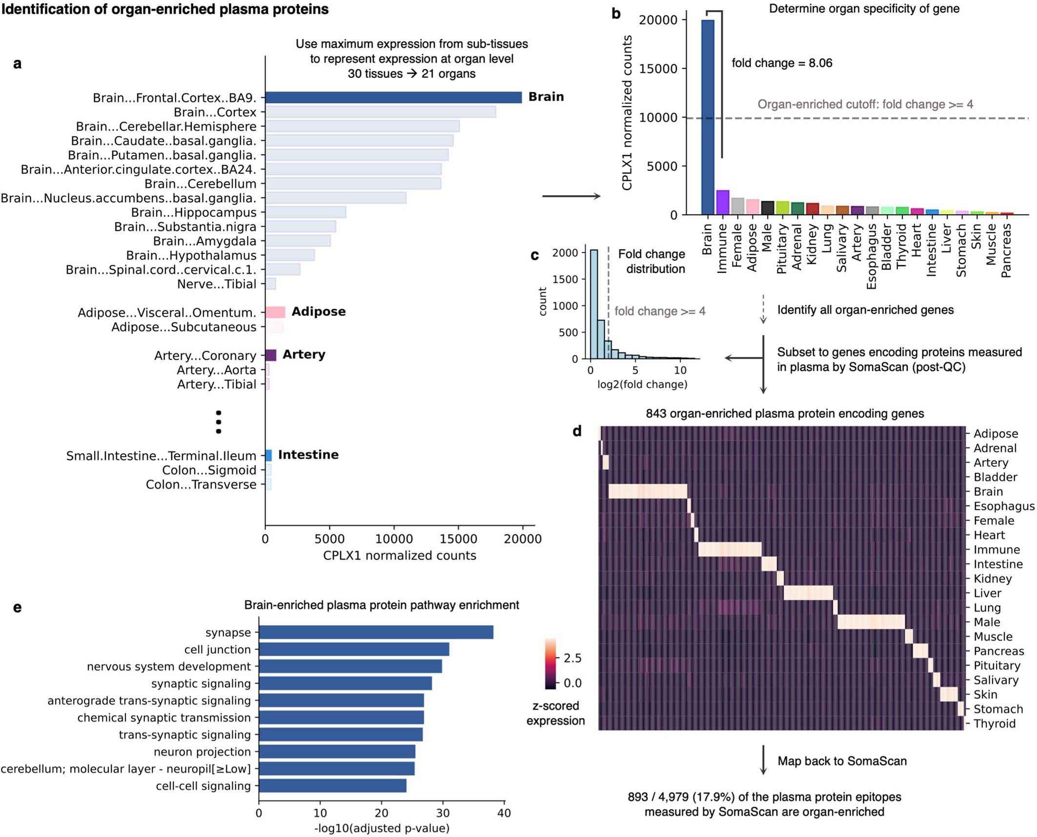 Extended Data Fig. 1: Identification of organ-enriched plasma proteins.