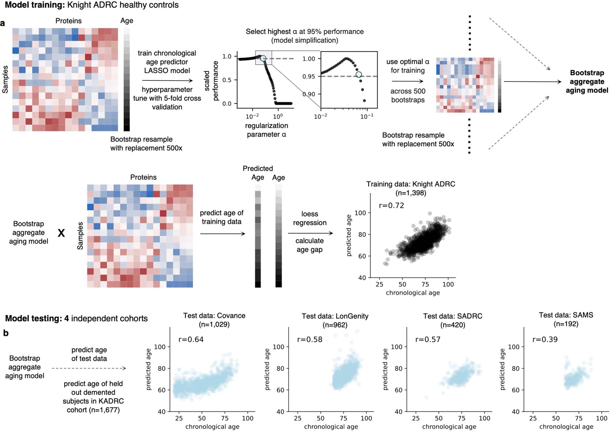 Extended Data Fig. 2: Aging model training and testing.