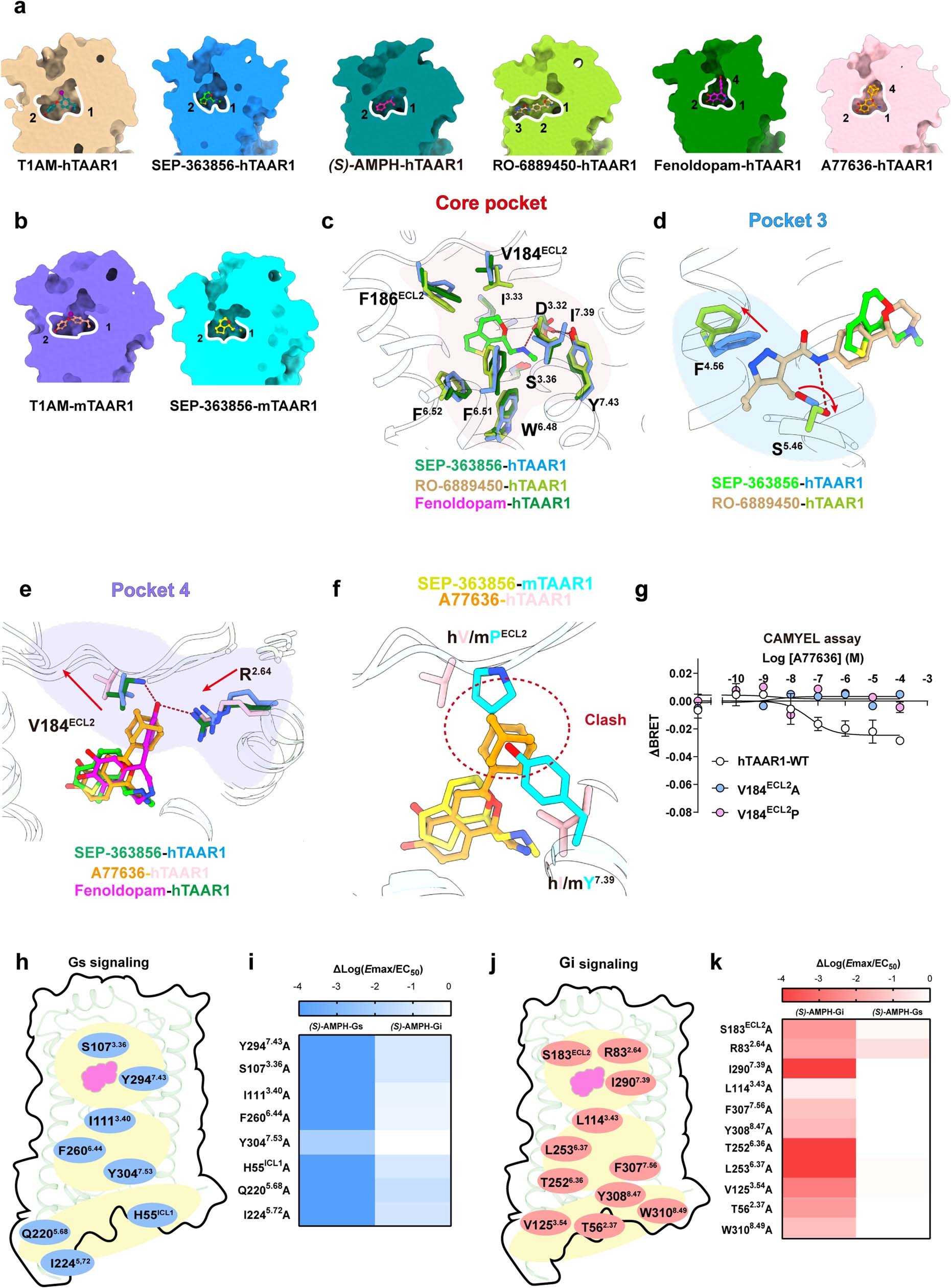 Extended Data Fig. 9