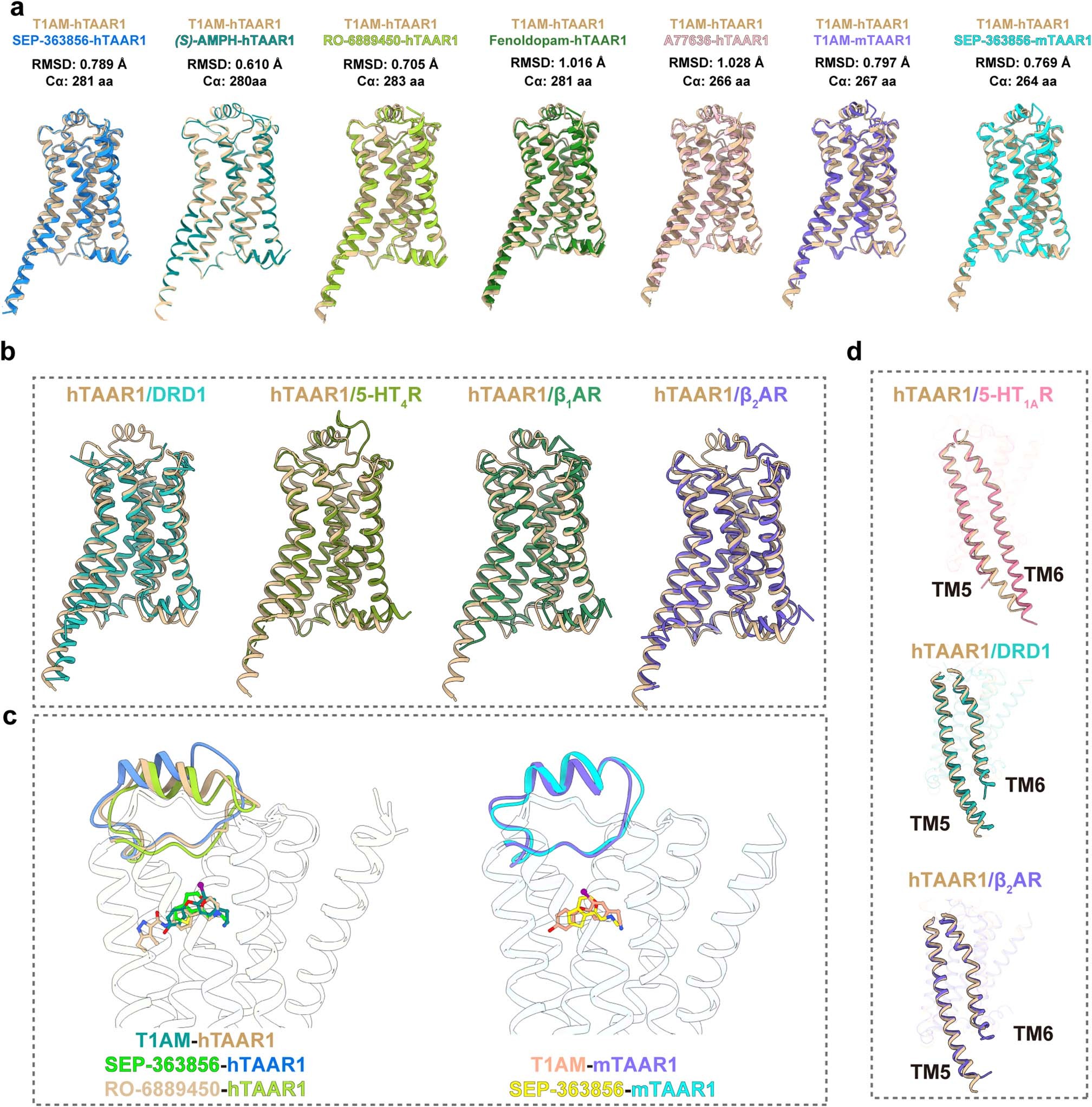 Extended Data Fig. 2