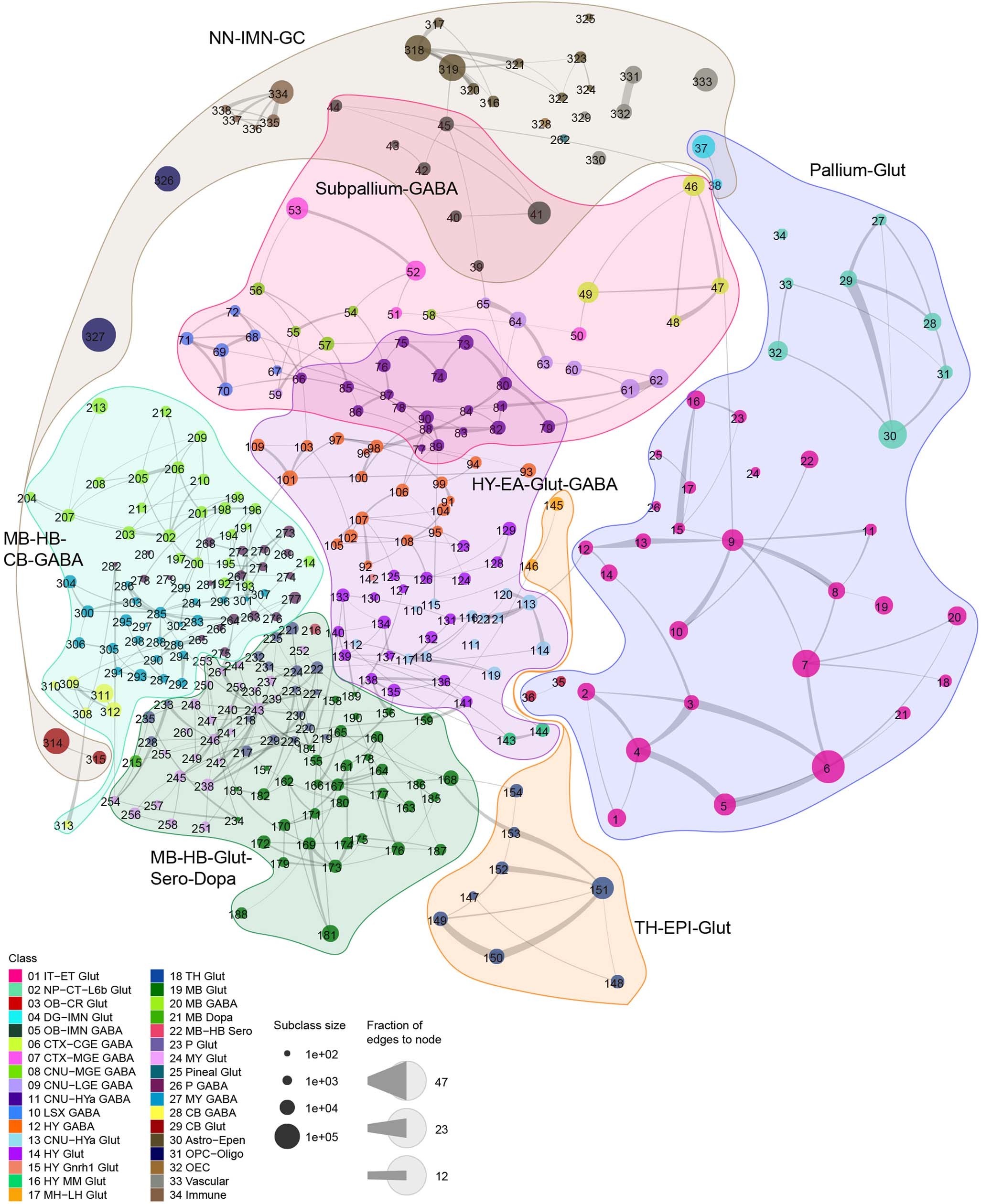Extended Data Fig. 6: Constellation plot of the global relatedness between subclasses.