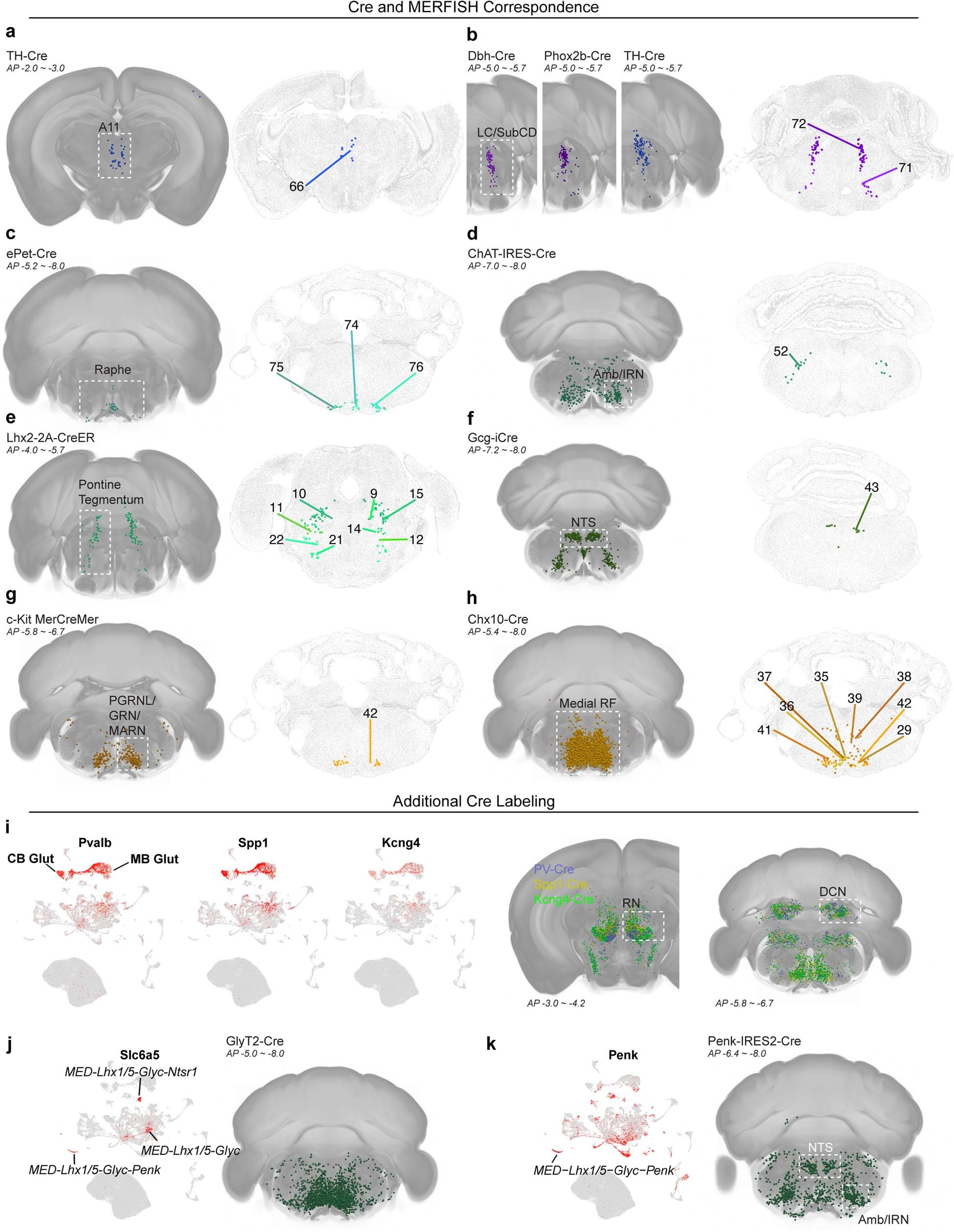Extended Data Fig. 9
