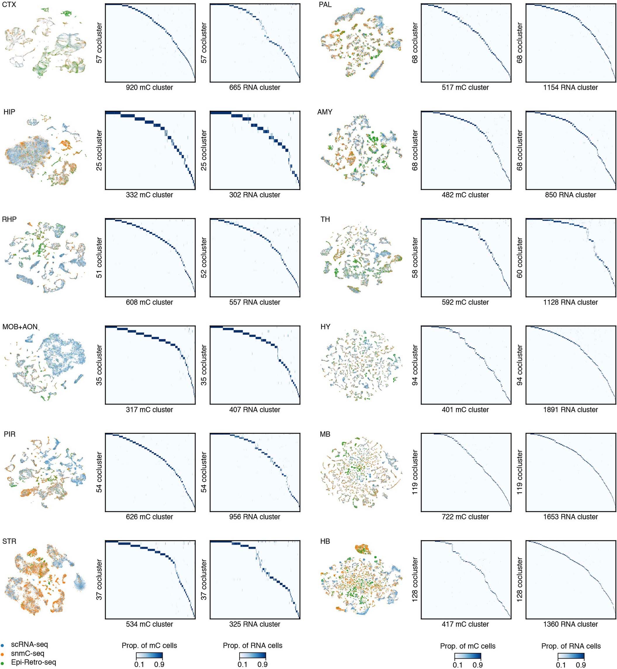 Extended Data Fig. 4: Co-clustering of Epi-Retro-Seq, unbiased snmC-seq and scRNA-seq data for 12 brain regions.