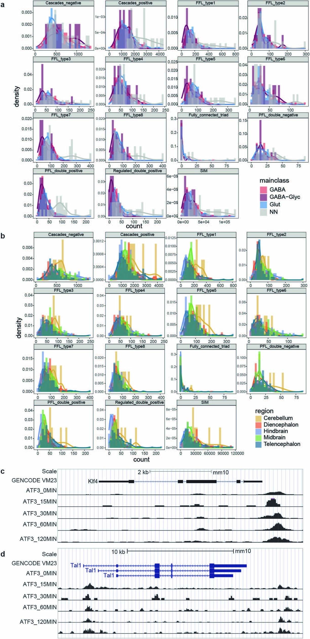 Extended Data Fig. 12: Histograms of the counts of the network motifs in each subclass’s gene regulation network (GRN) grouped by main class (a) or regions (b).