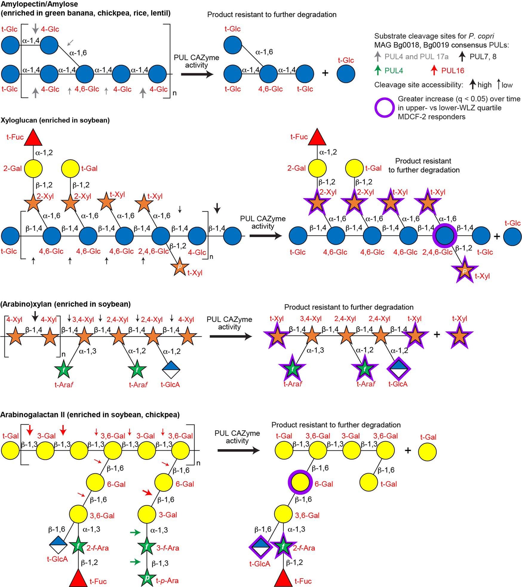 Extended Data Fig. 9