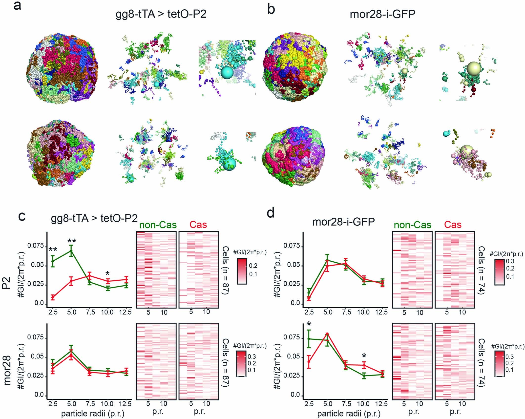 Extended Data Fig. 4