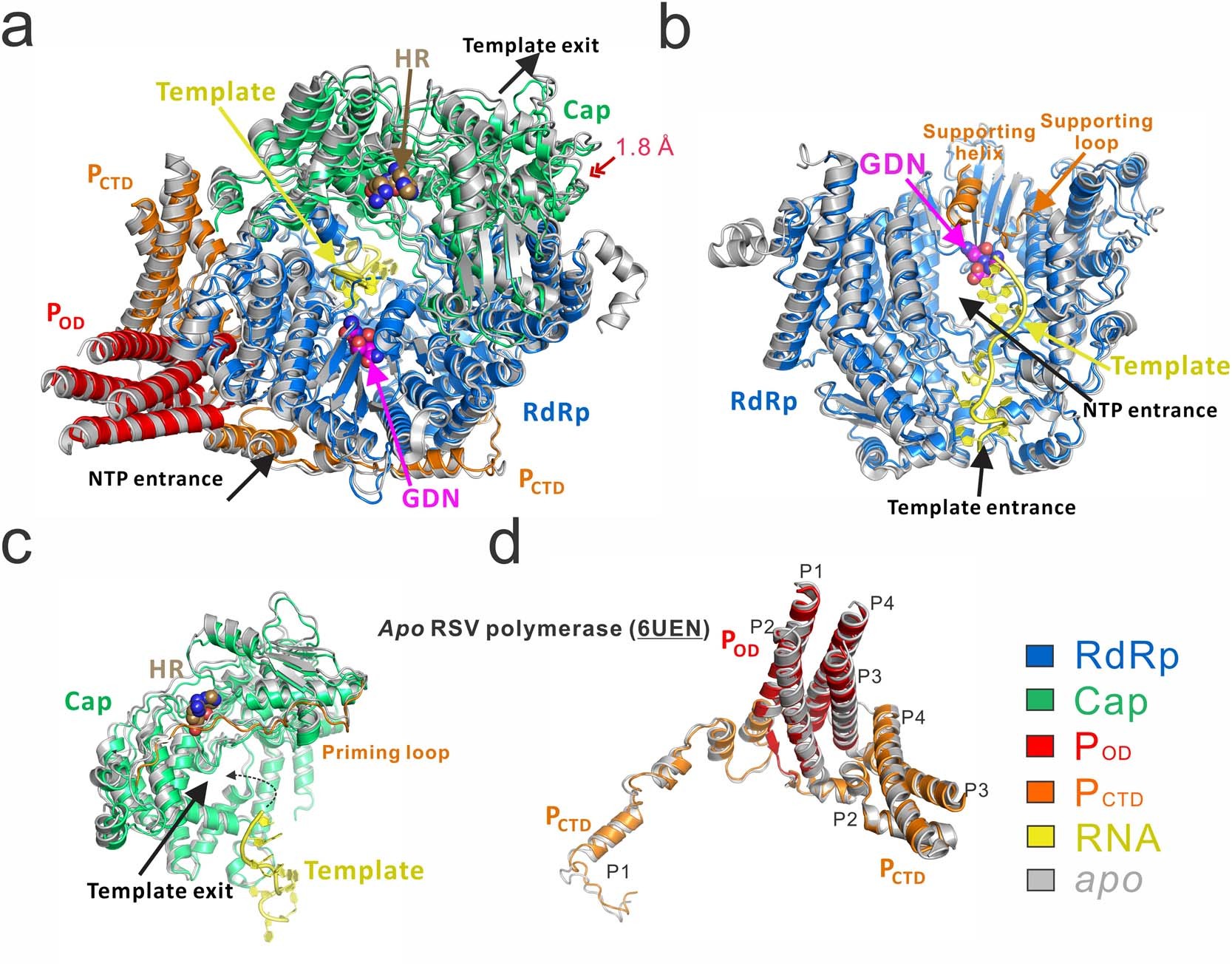 Extended Data Fig. 6