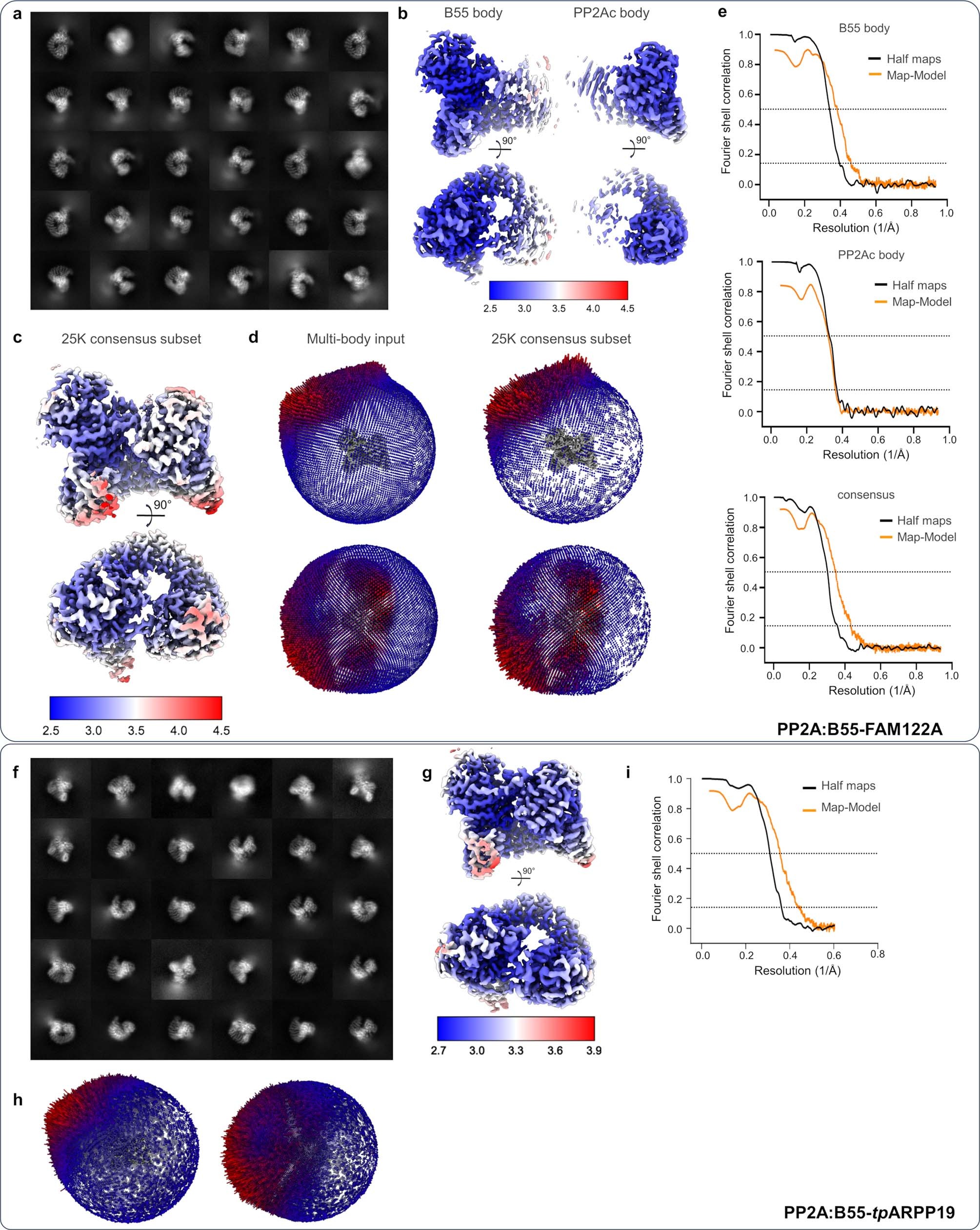 Extended Data Fig. 8