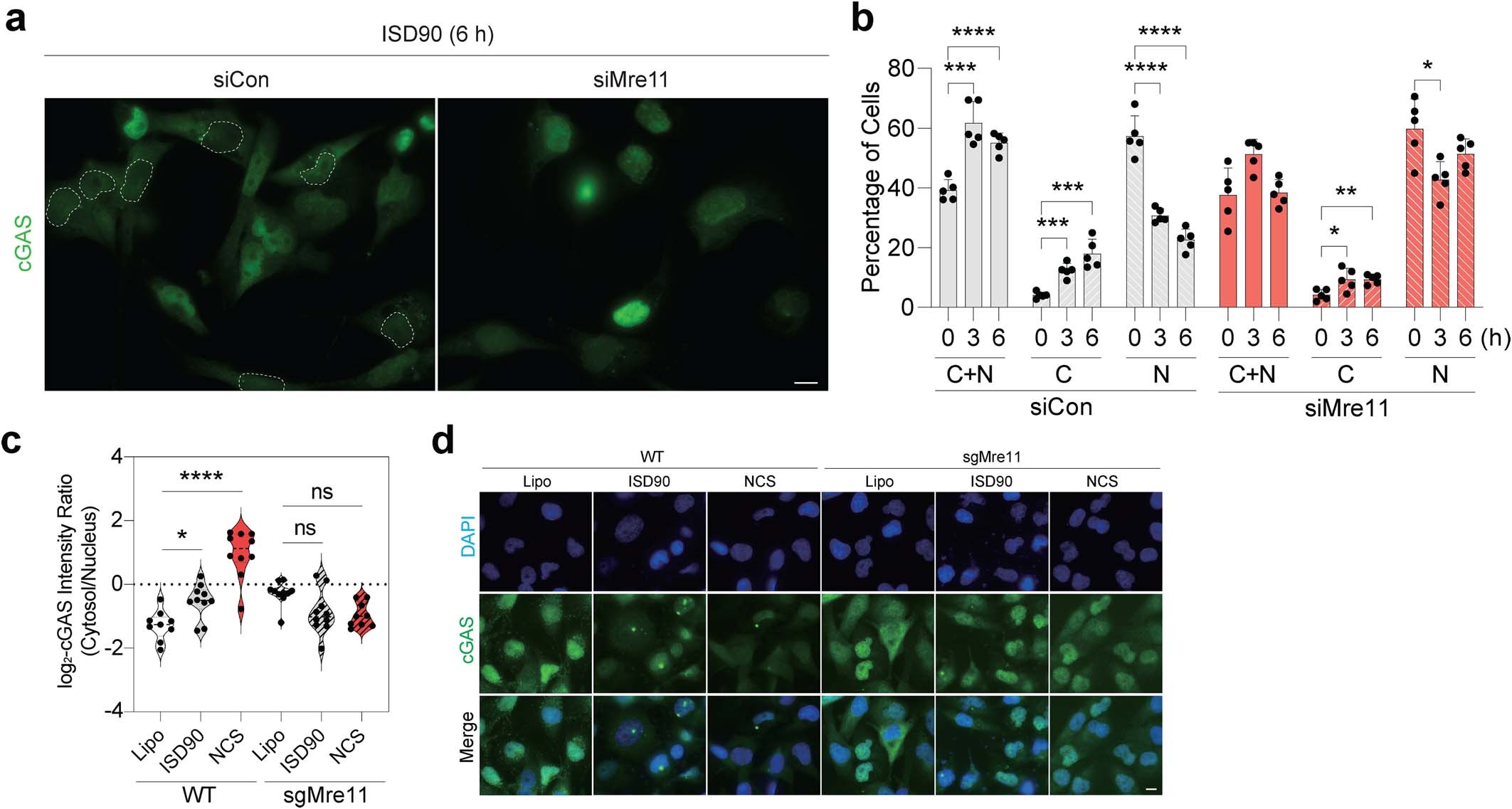 Extended Data Fig. 8