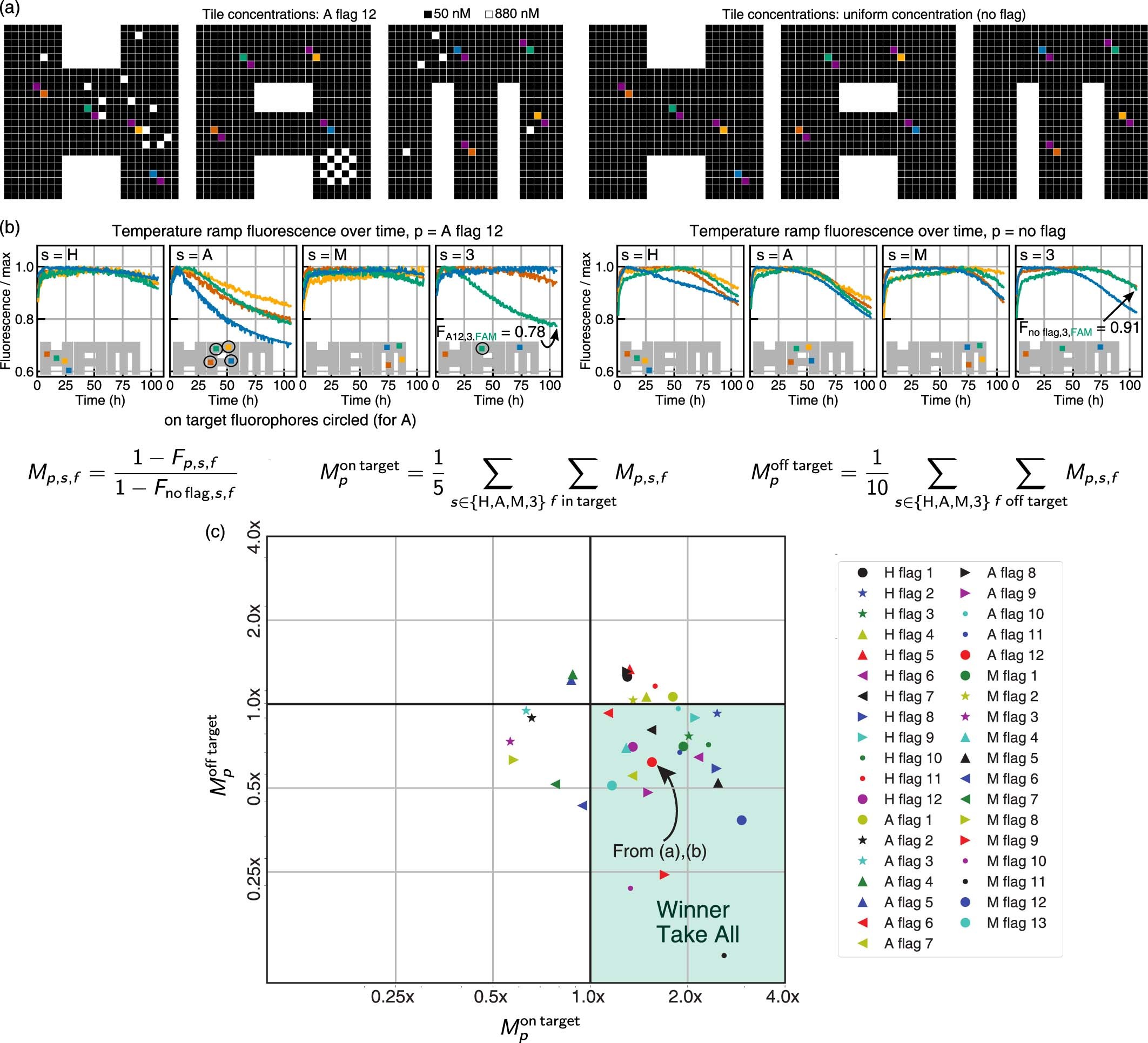 Extended Data Fig. 7: Evidence of winner-take-all in flag experiments.