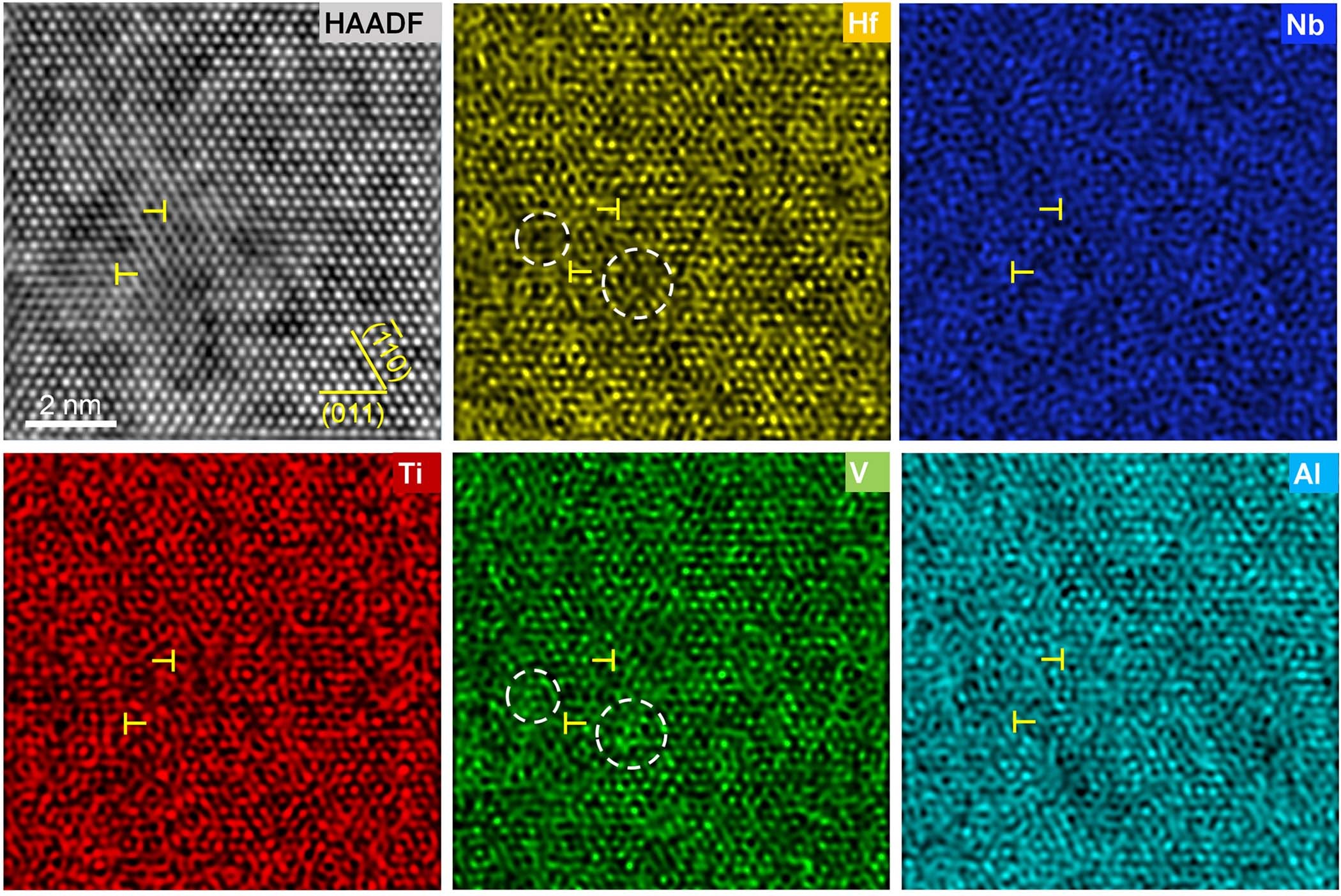 Extended Data Fig. 7