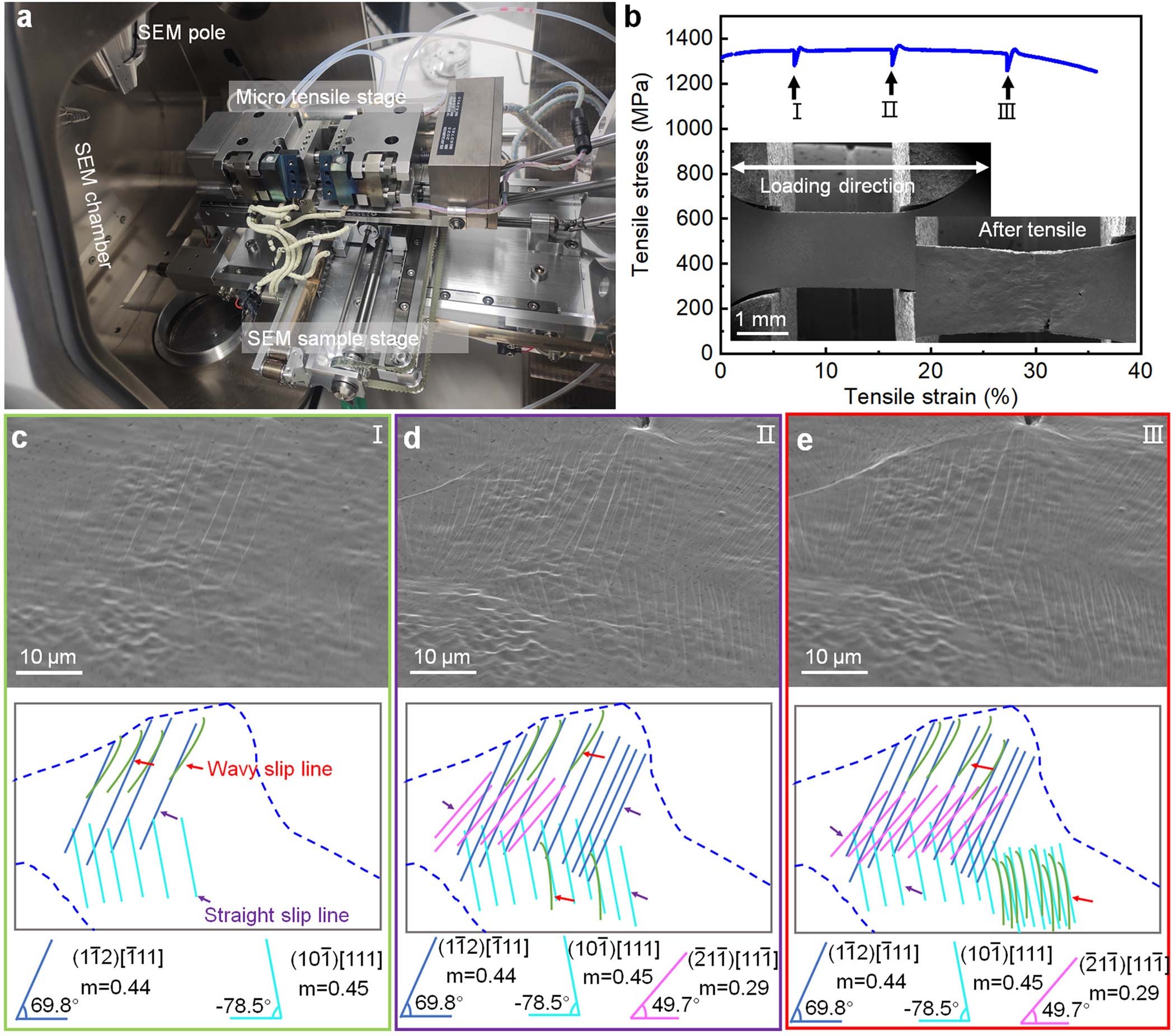 Extended Data Fig. 9: Mechanical behavior and microstructural analysis of the annealed HNTVA10 alloy during in situ tensile testing through SEM at room temperature.