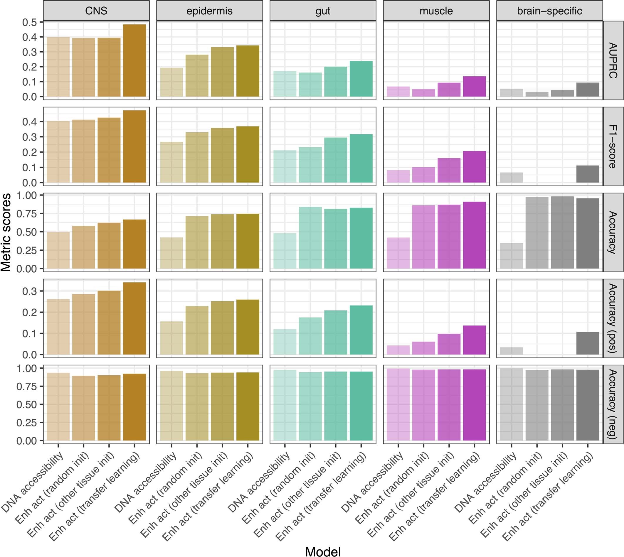 Extended Data Fig. 4: Metric evaluation of the different models.