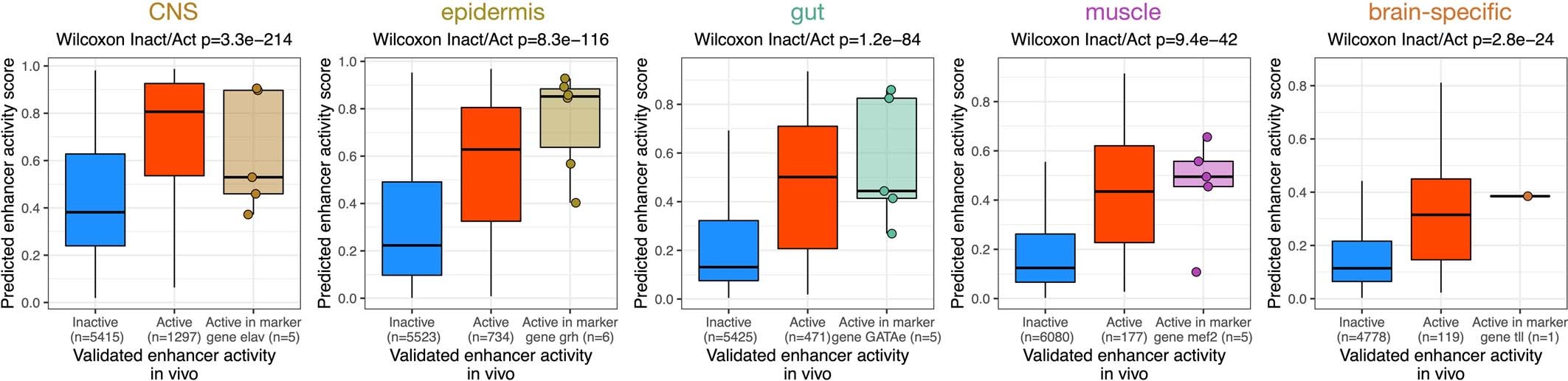 Extended Data Fig. 6: Model evaluation on positive and negative control sequences.
