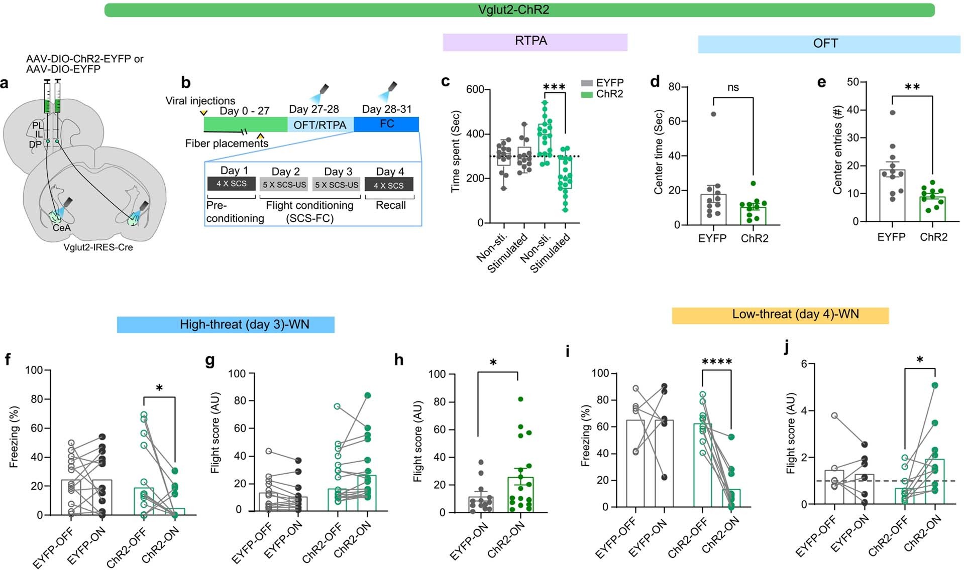 Extended Data Fig. 8: (Data related Fig. 4): Optogenetic stimulation of the Vglut2 + DP-CEA pathway.