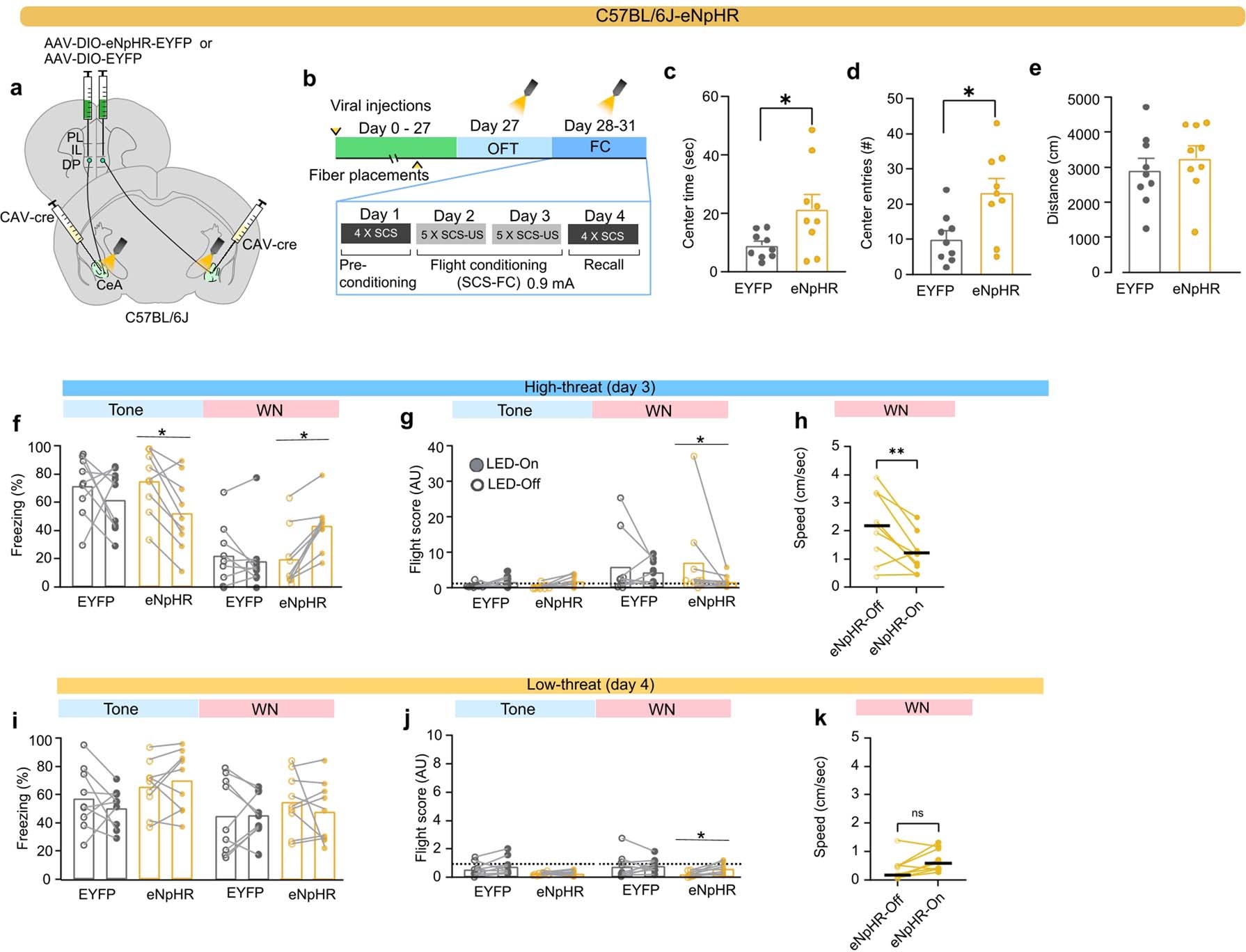 Extended Data Fig. 4: (Data related Fig. 4): Optogenetic inhibition of the DP-CEA pathway.