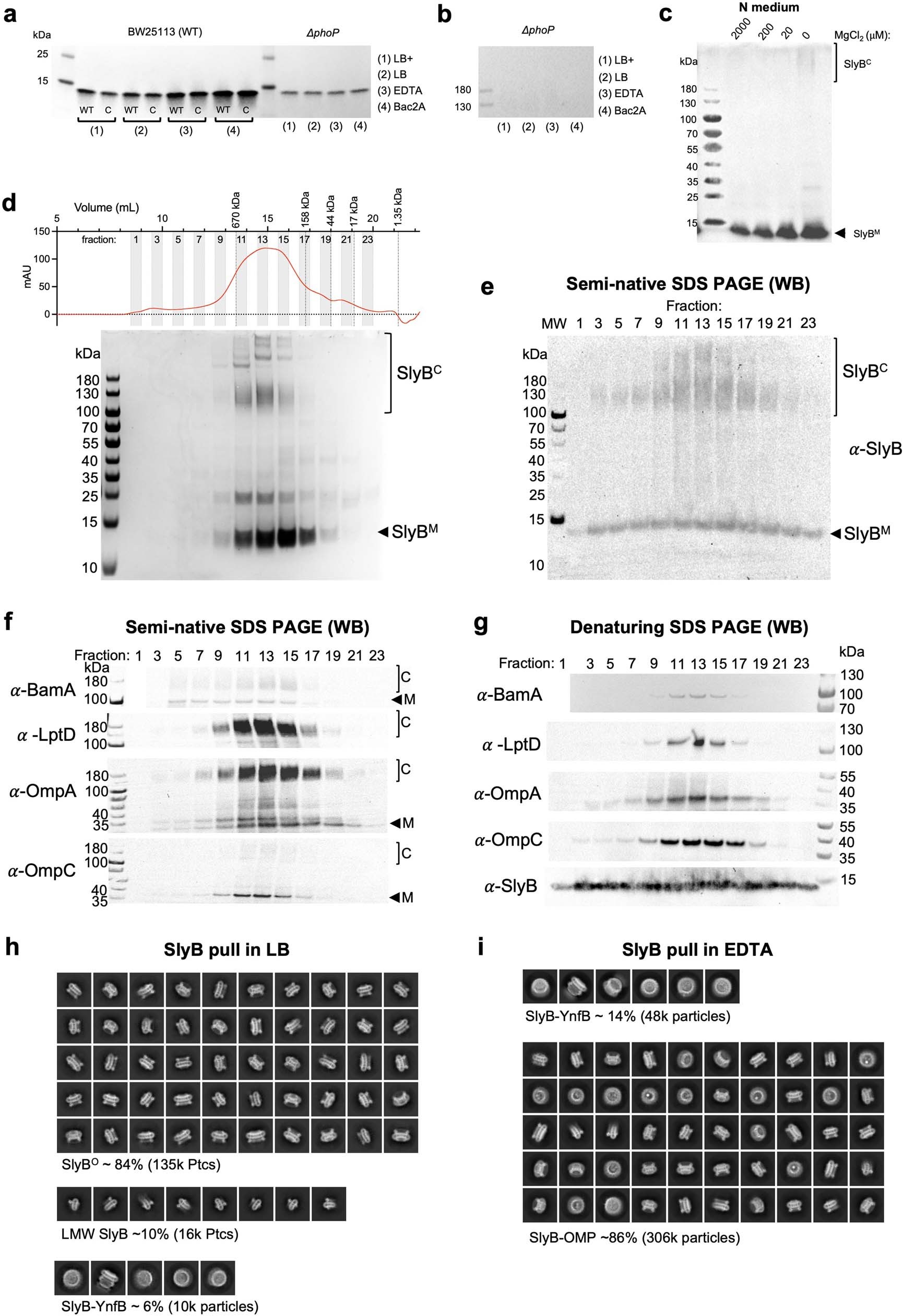 Extended Data Fig. 4