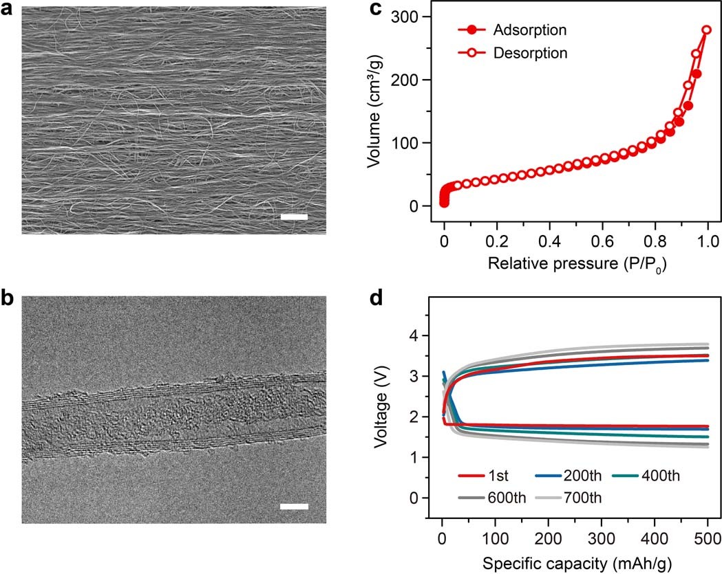 Extended Data Fig. 1