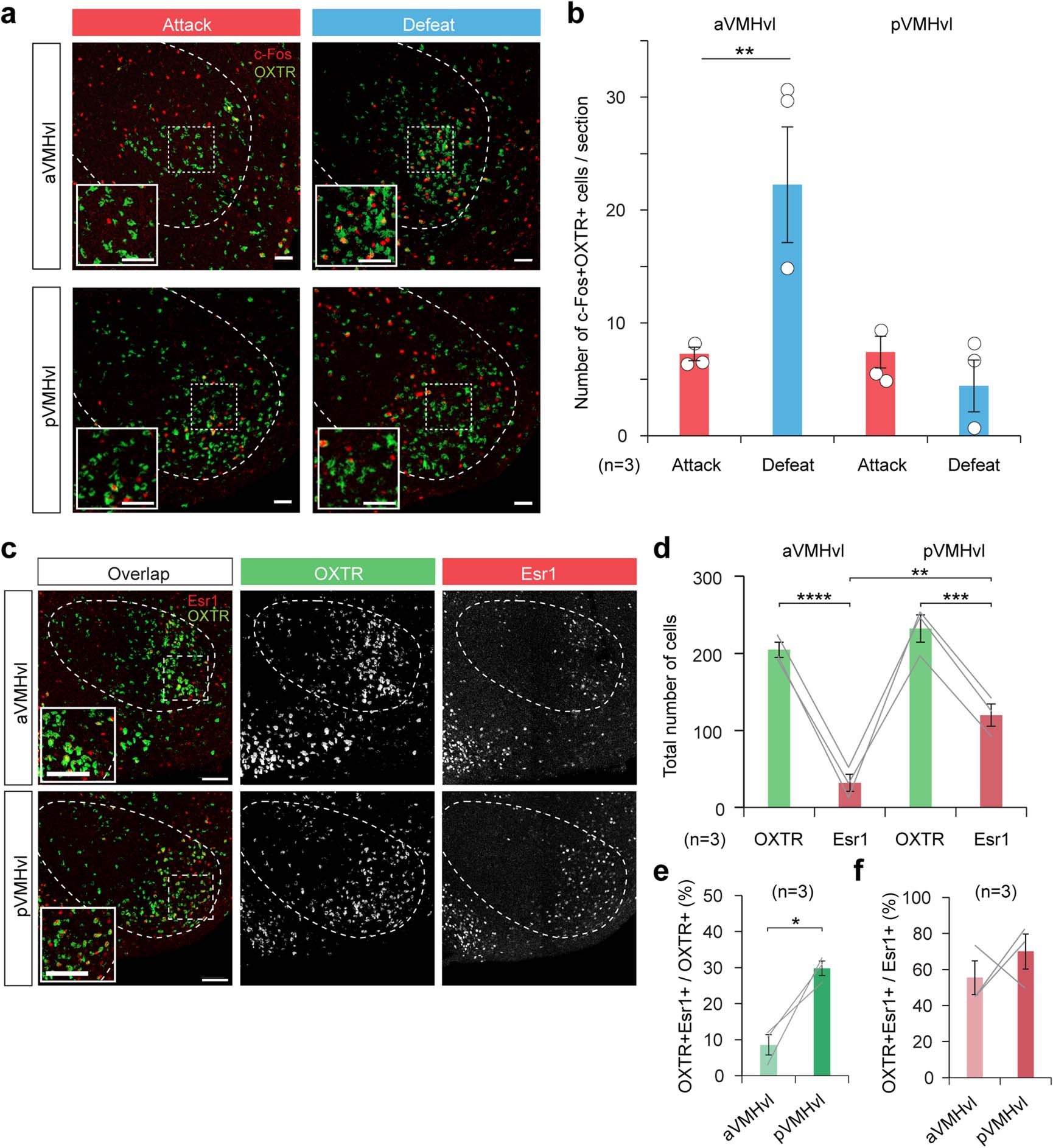 Extended Data Fig. 3