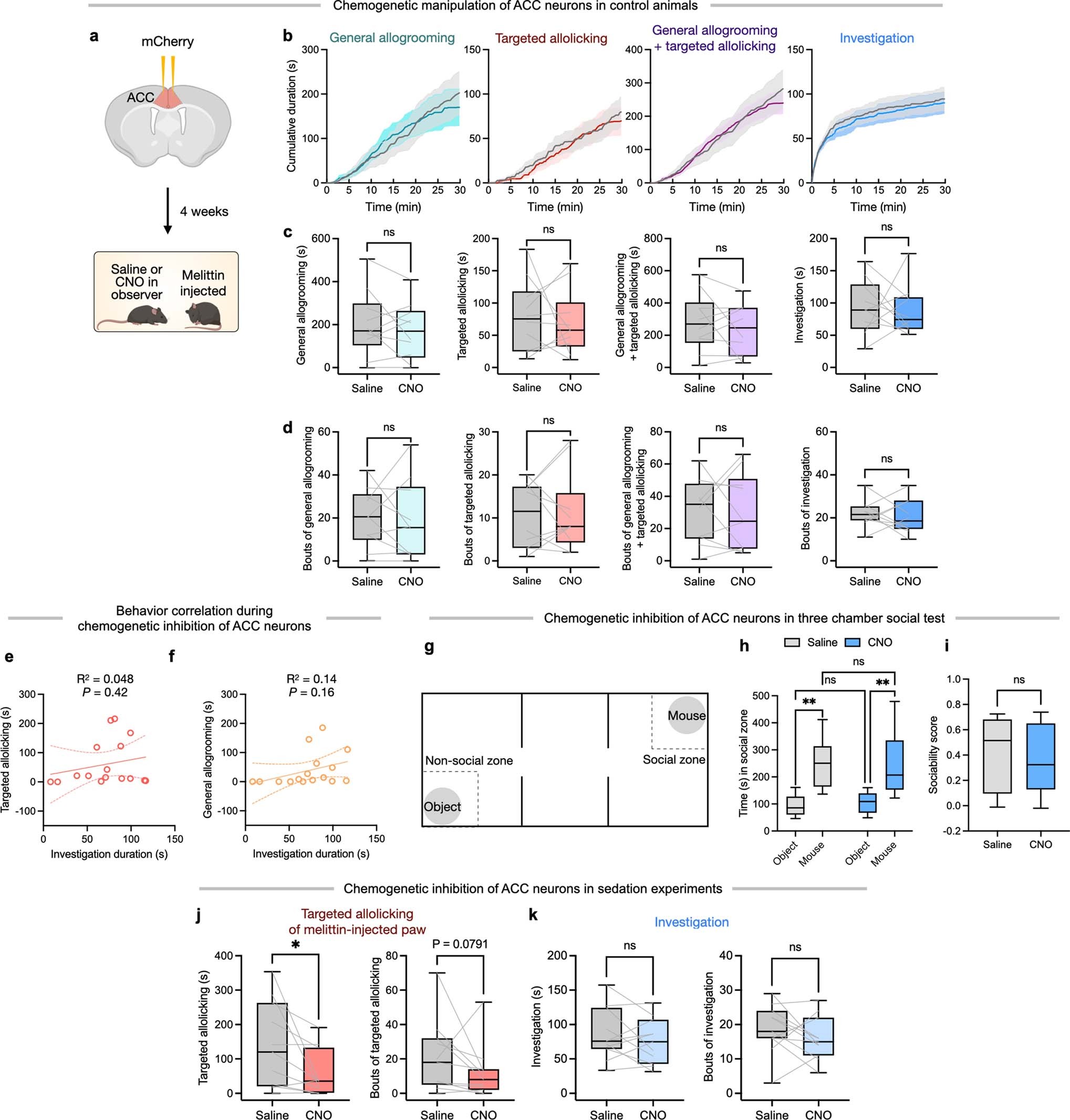 Extended Data Fig. 9: Behavioral effects of DREADD inhibition of ACC neurons.