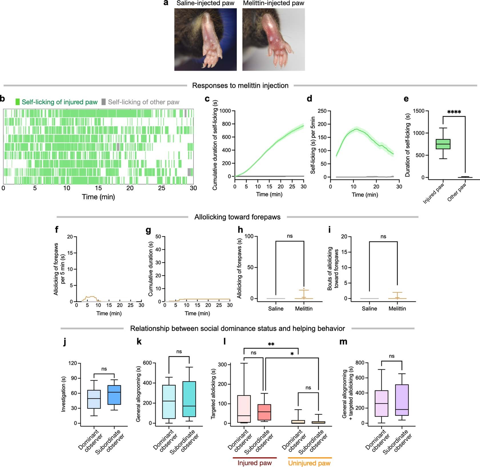Extended Data Fig. 1: Behavioral responses of demonstrators and observers following melittin injection.