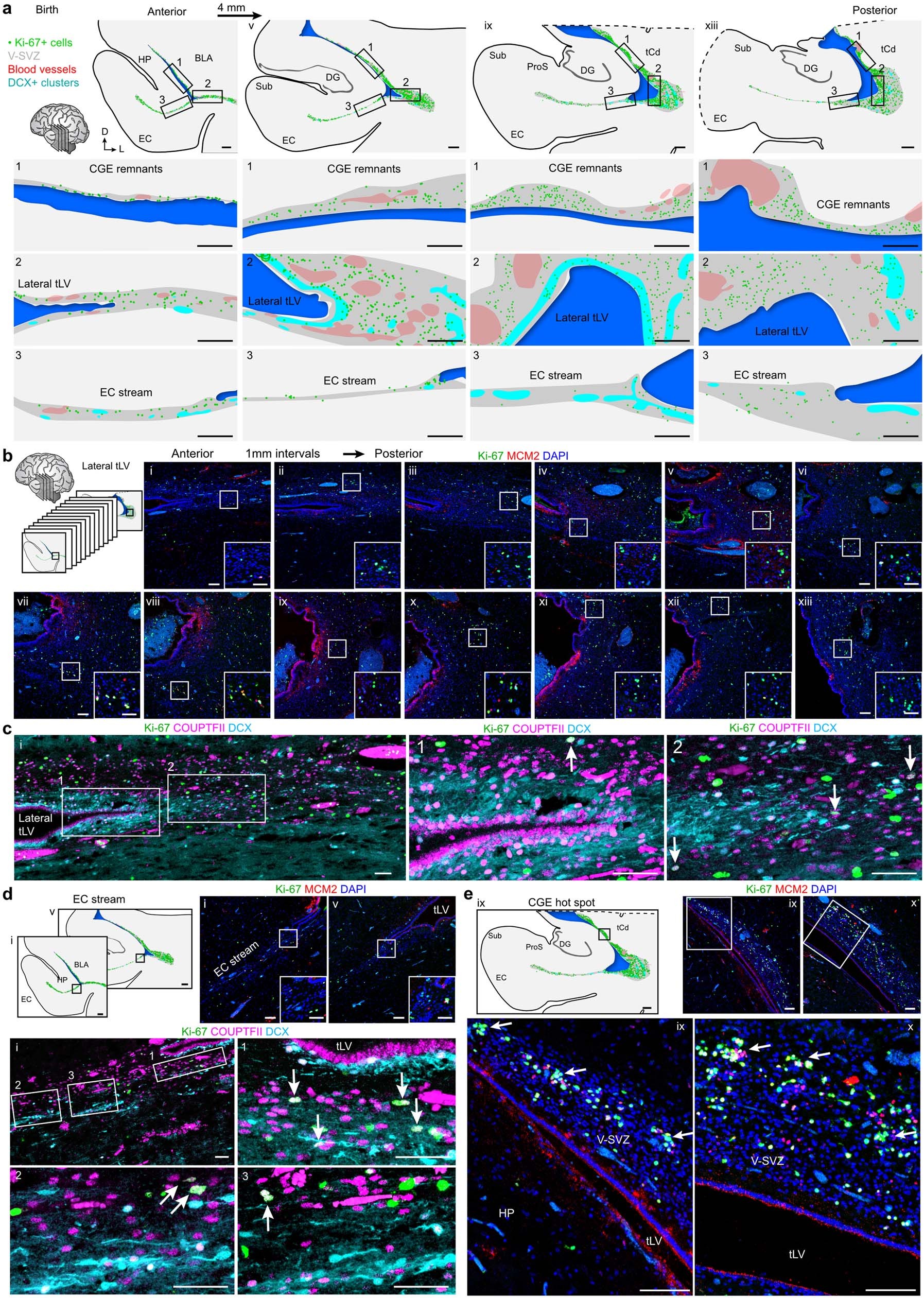 Extended Data Fig. 7