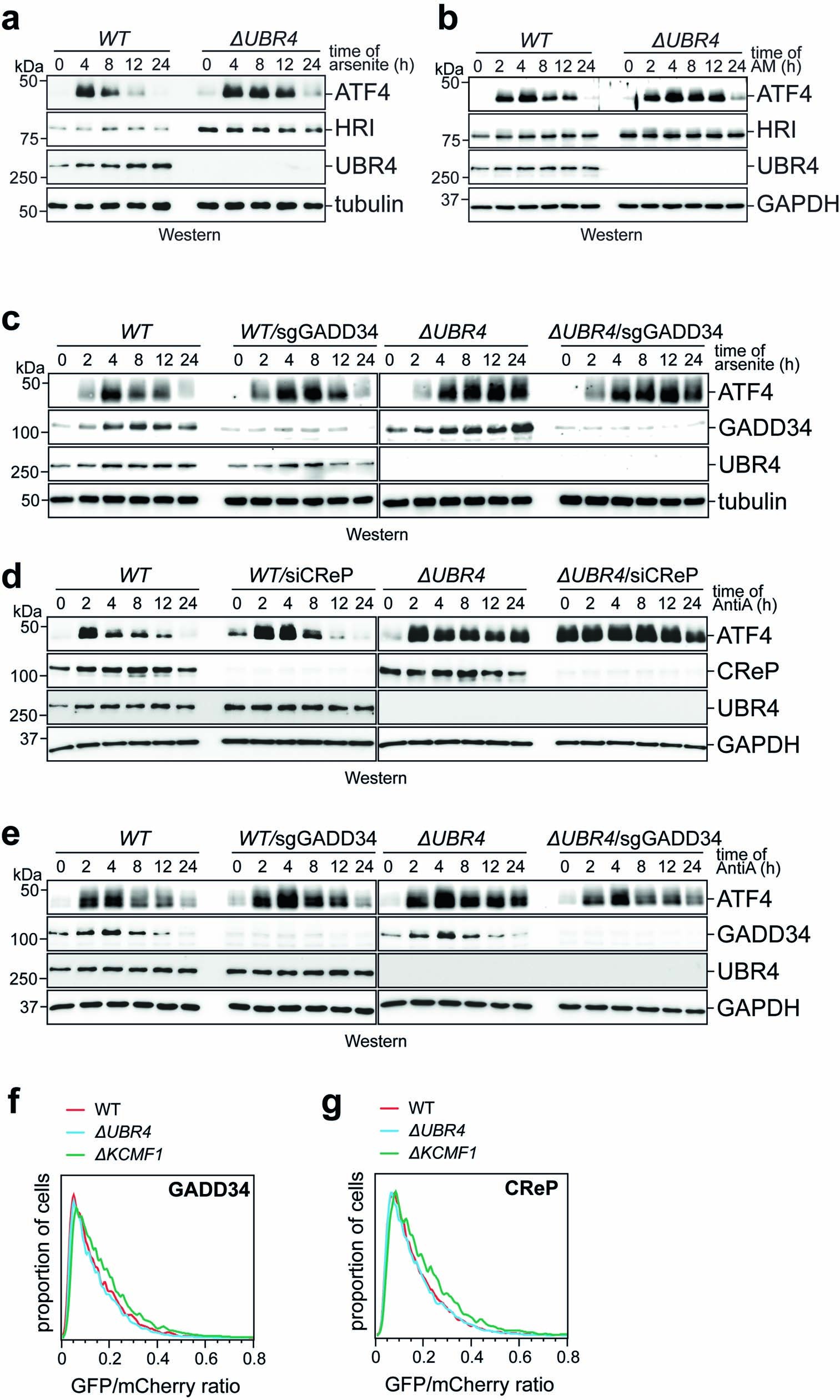 Extended Data Fig. 6