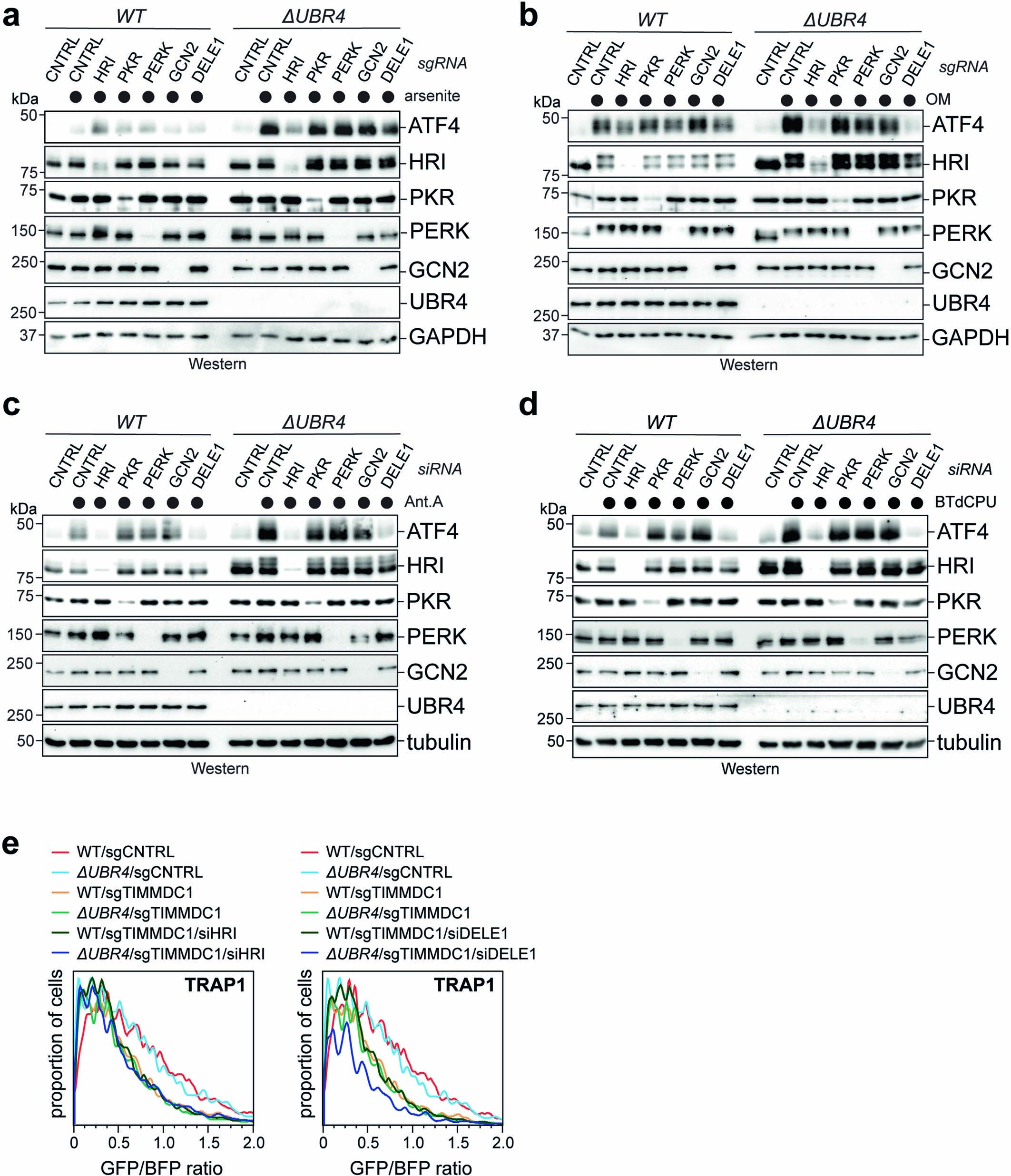 Extended Data Fig. 9