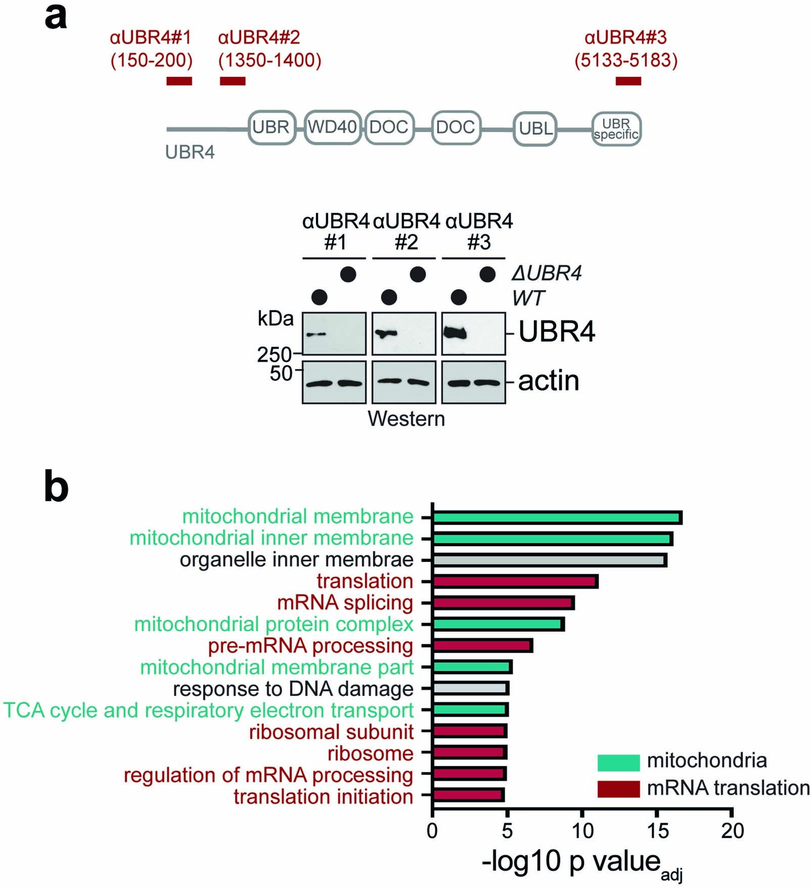 Extended Data Fig. 1