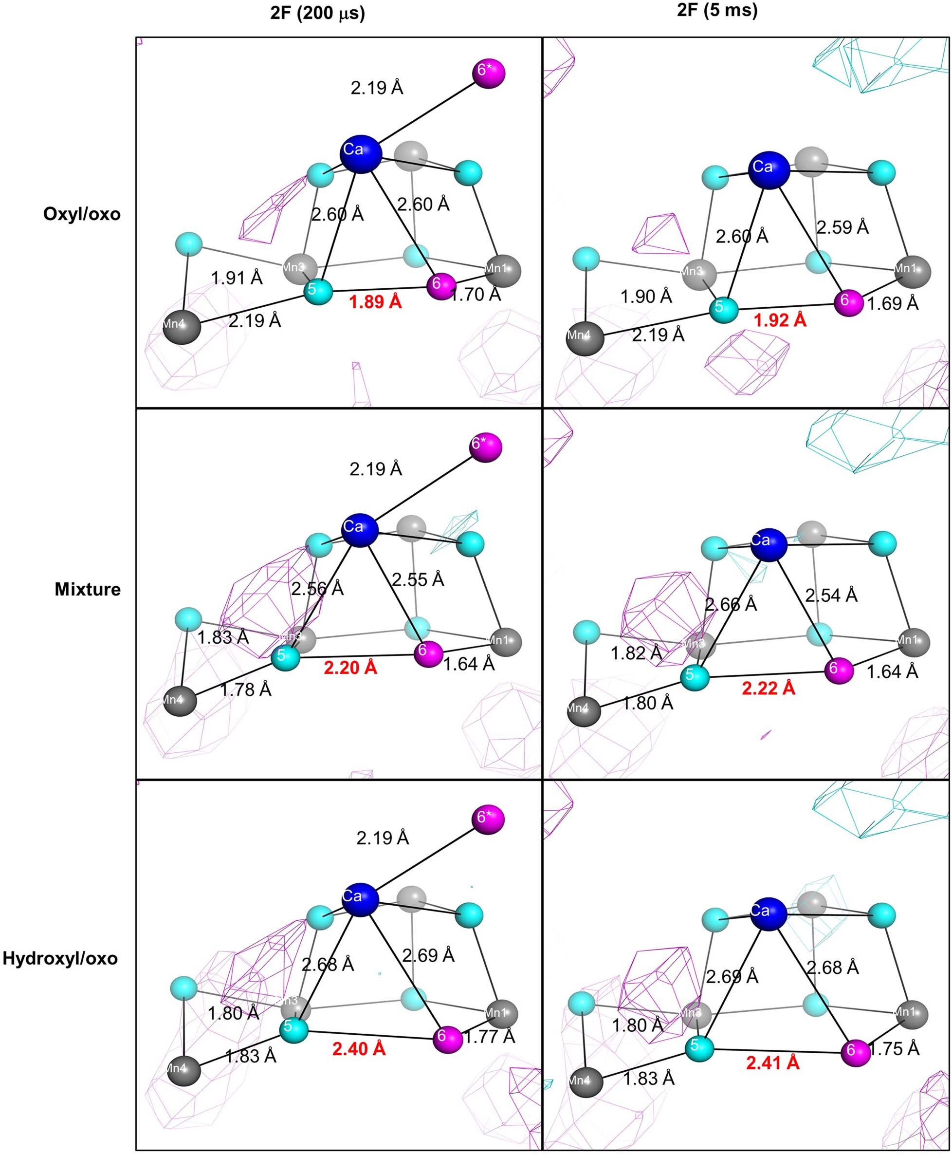 Extended Data Fig. 6: Examinations of the oxyl/oxo and hydroxyl/oxo species between O5 and O6.