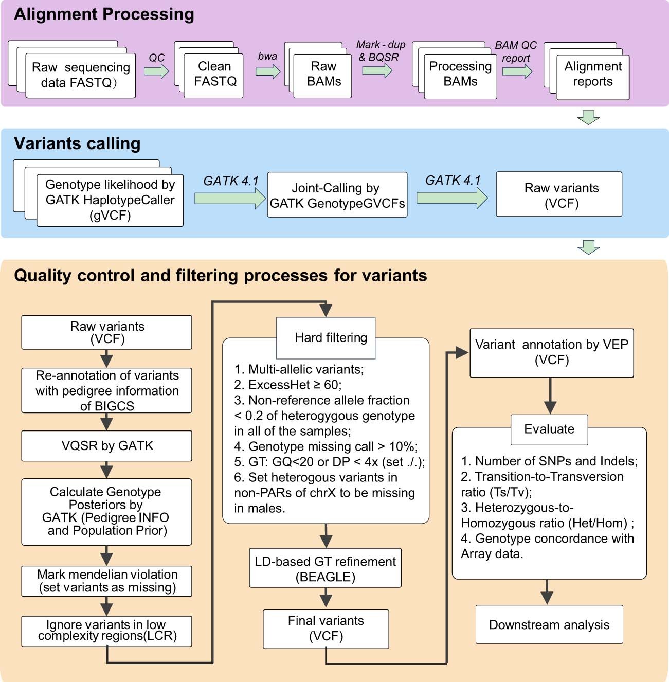 Extended Data Fig. 1: Read alignment, variant calling, filtering, and genotype refinement.